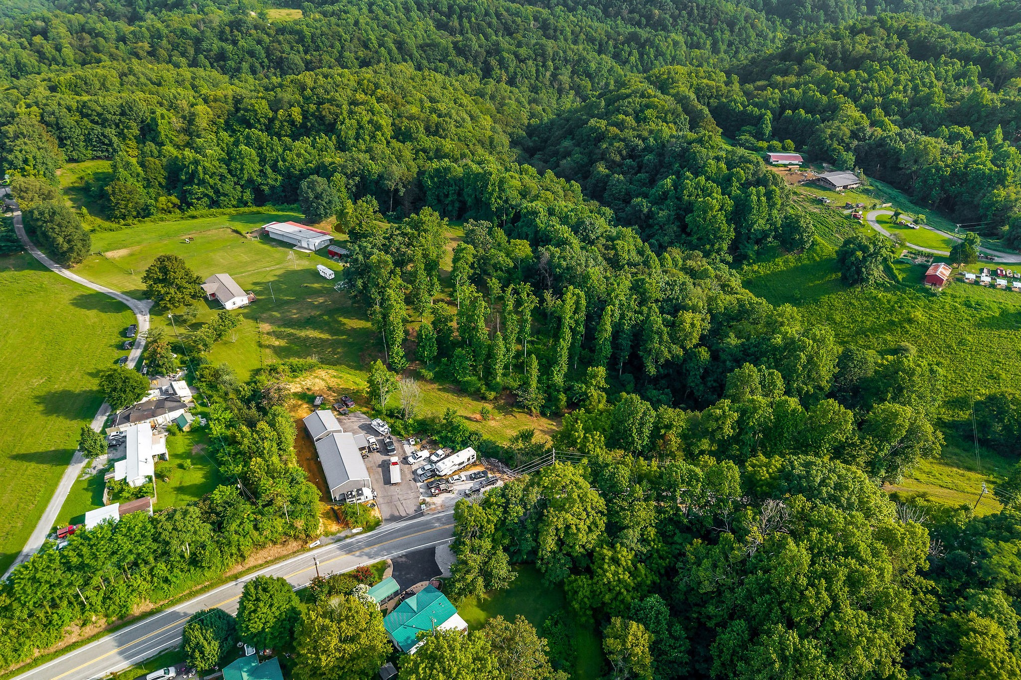 227 B A R Road Baxter, TN 38544 - Photo 47 of 52 a view of a yard with plants and large trees