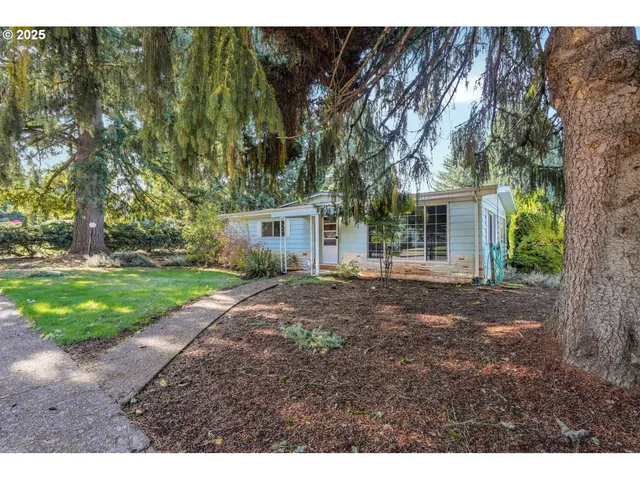 a view of a yard in front of house