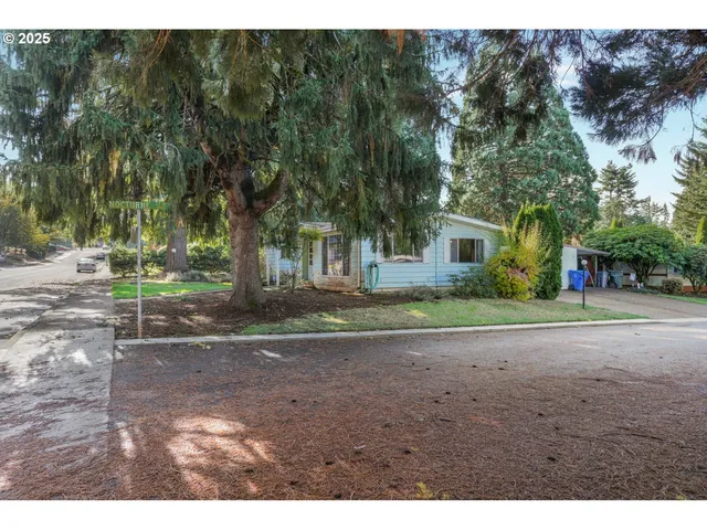 a view of house with backyard and a tree