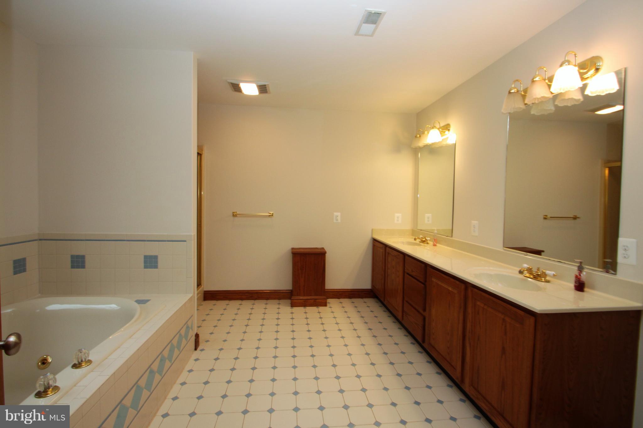 20111 Camp Road Culpeper, VA 22701 - Photo 21 of 30 Bath (Master)