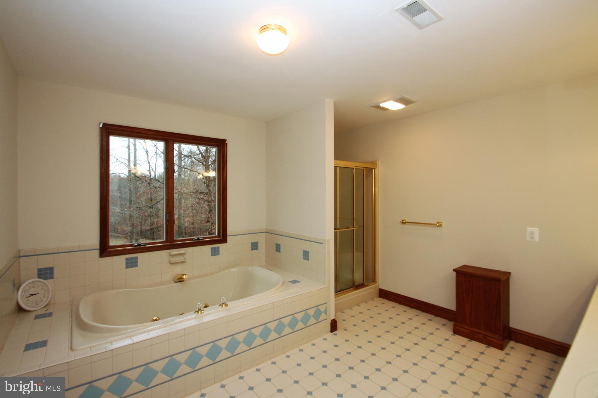 20111 Camp Road Culpeper, VA 22701 - Photo 22 of 30 Bath (Master)