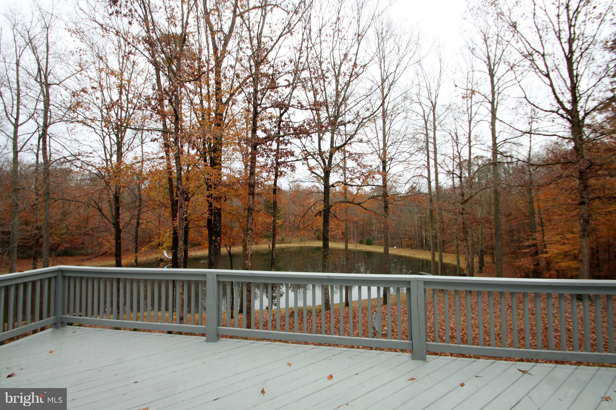 20111 Camp Road Culpeper, VA 22701 - Photo 27 of 30 View from Deck