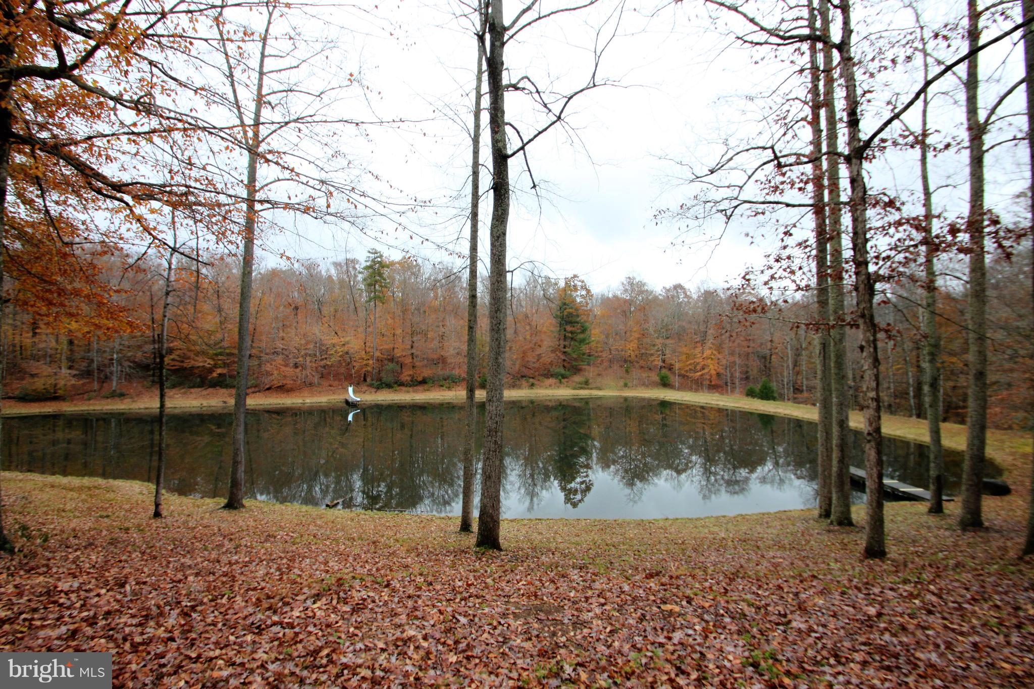 20111 Camp Road Culpeper, VA 22701 - Photo 28 of 30 Exterior (Rear)