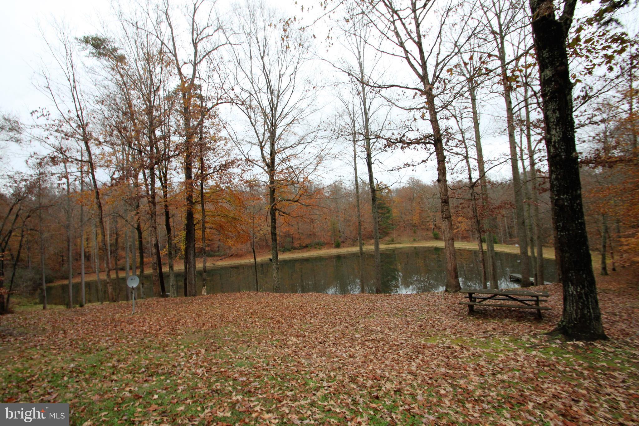 20111 Camp Road Culpeper, VA 22701 - Photo 29 of 30 Exterior (Rear)
