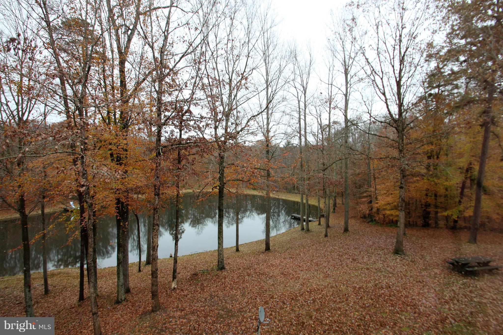 20111 Camp Road Culpeper, VA 22701 - Photo 30 of 30 View from Master Bedroom