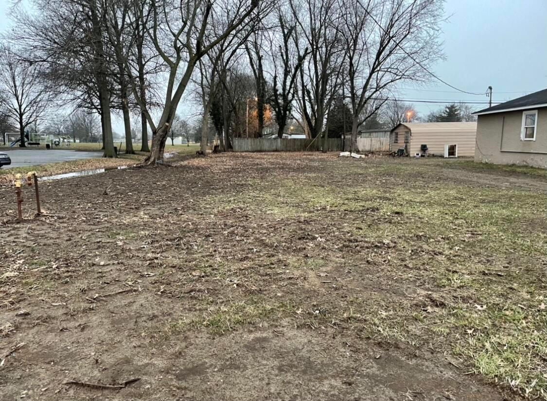 0 Briggs Road Columbus, OH 43223 - Photo 2 of 3 57CEE7F3-BFB9-41B5-8417-8272FA0F76D0_1_2