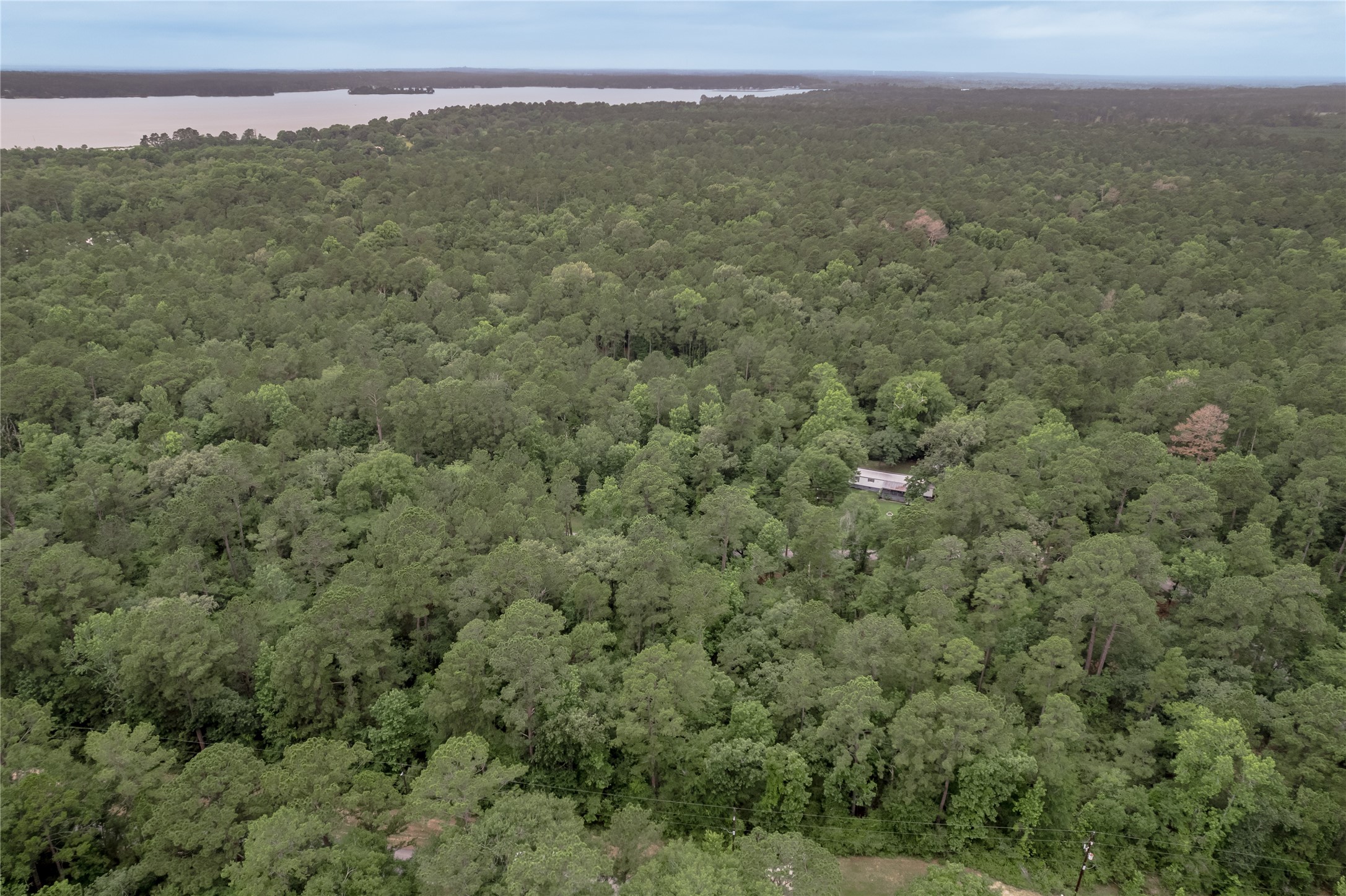 Lot 07 Oak Drive Trinity, TX 75862 - Photo 11 of 36