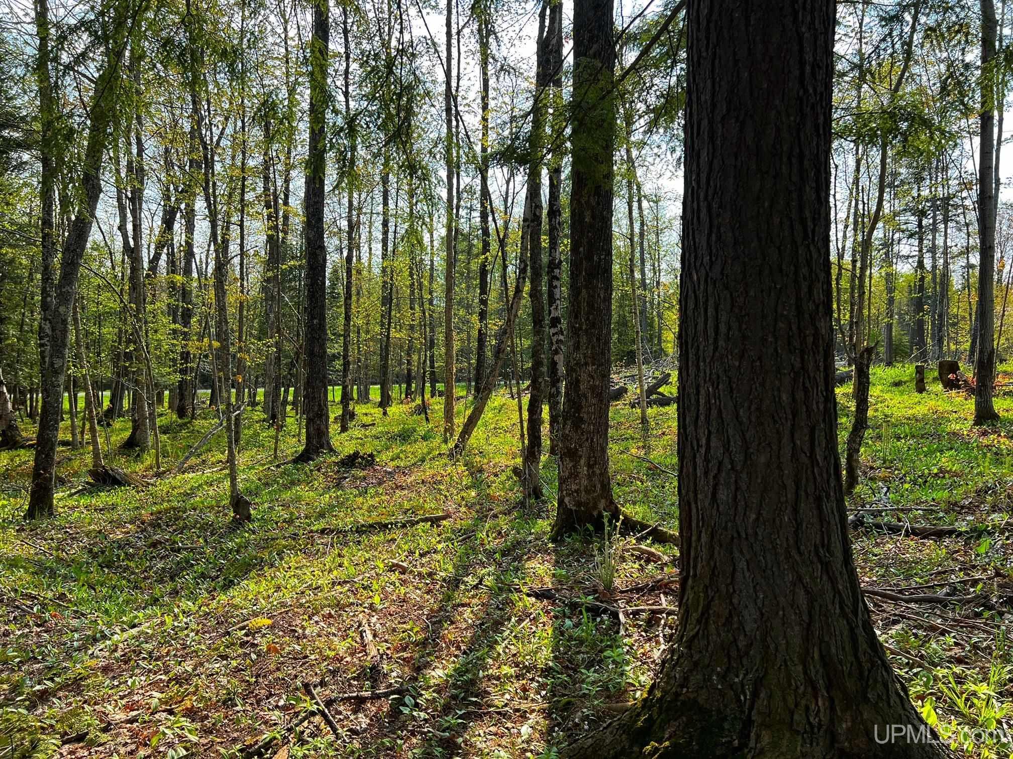 Tbdfg Dog Patch Road, Unit LOT F AND G Lanse, MI 49946 - Photo 14 of 17