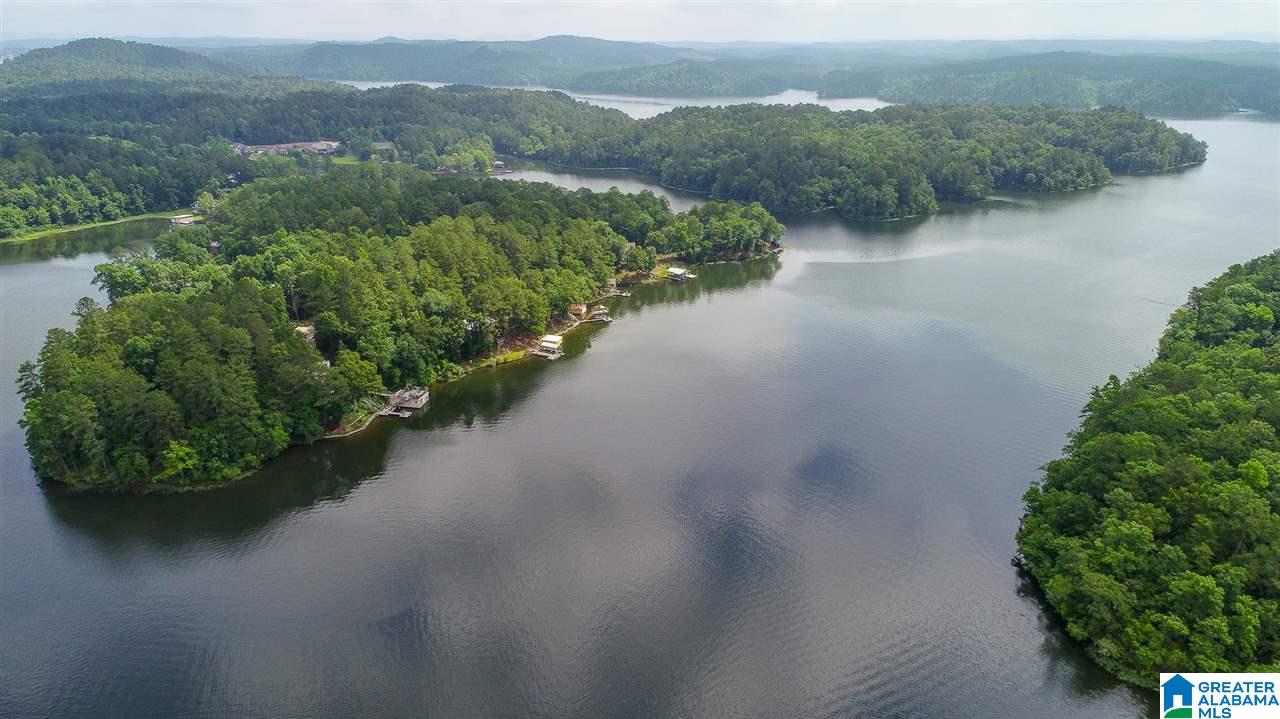 415 Tangled Way Shelby, AL 35143 - Photo 48 of 50