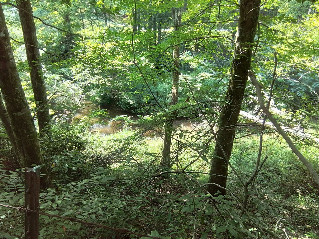 1378 S Morrow Road Murphy, NC 28906 - Photo 21 of 27