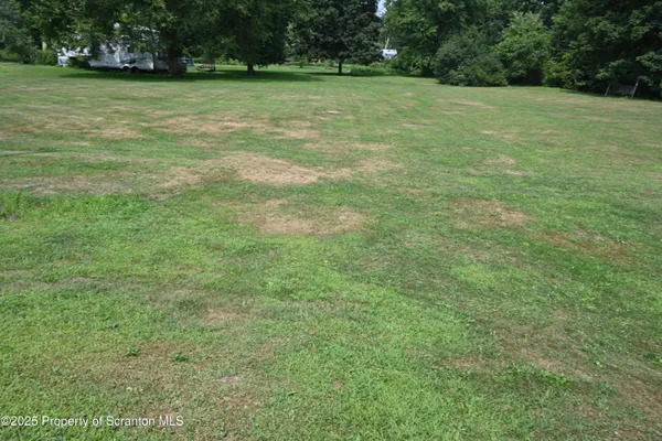 a view of a house with backyard and a tree