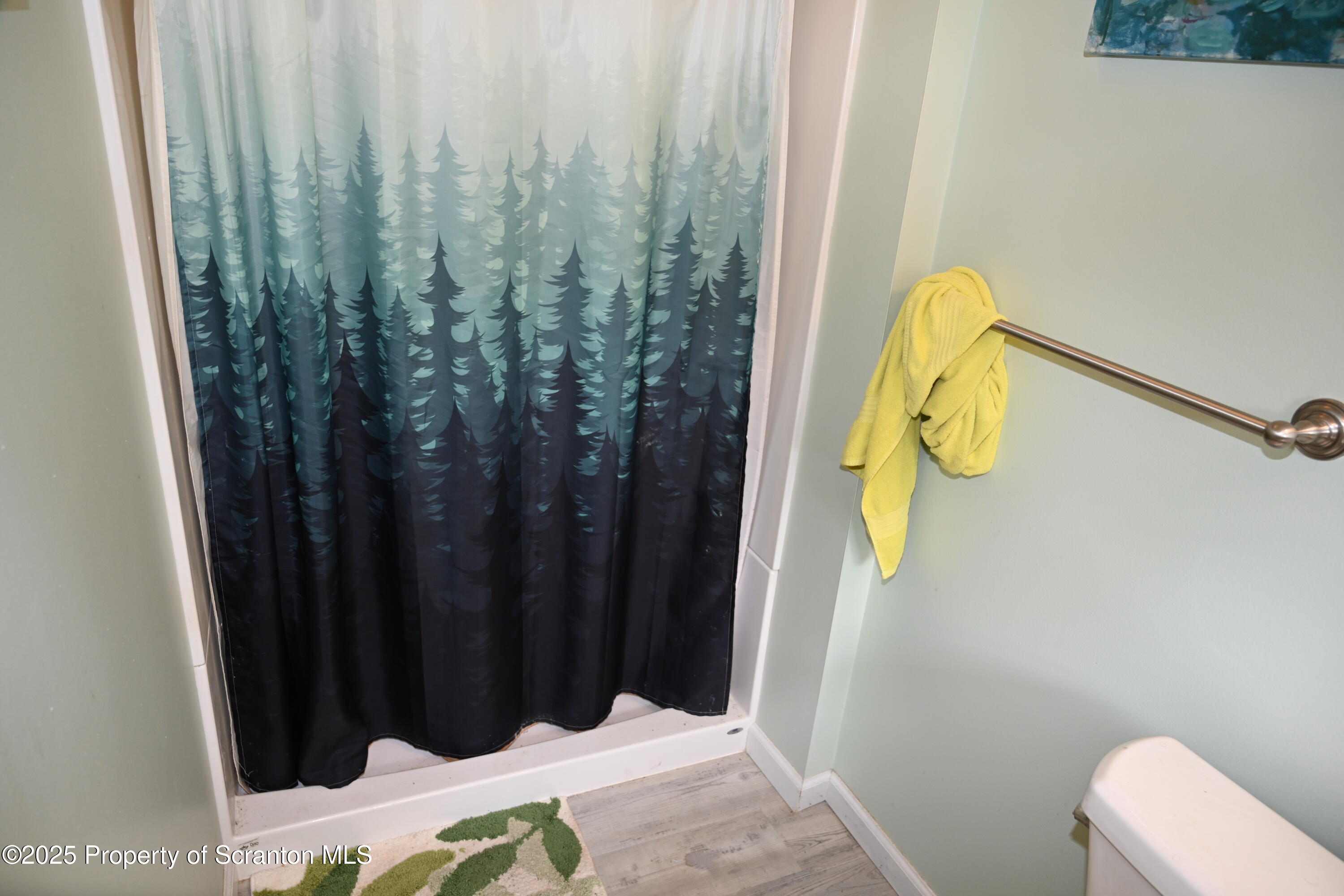26930 Highway 11 Great Bend, PA 18821 - Photo 52 of 53 a bathroom with a shower curtain and a sink