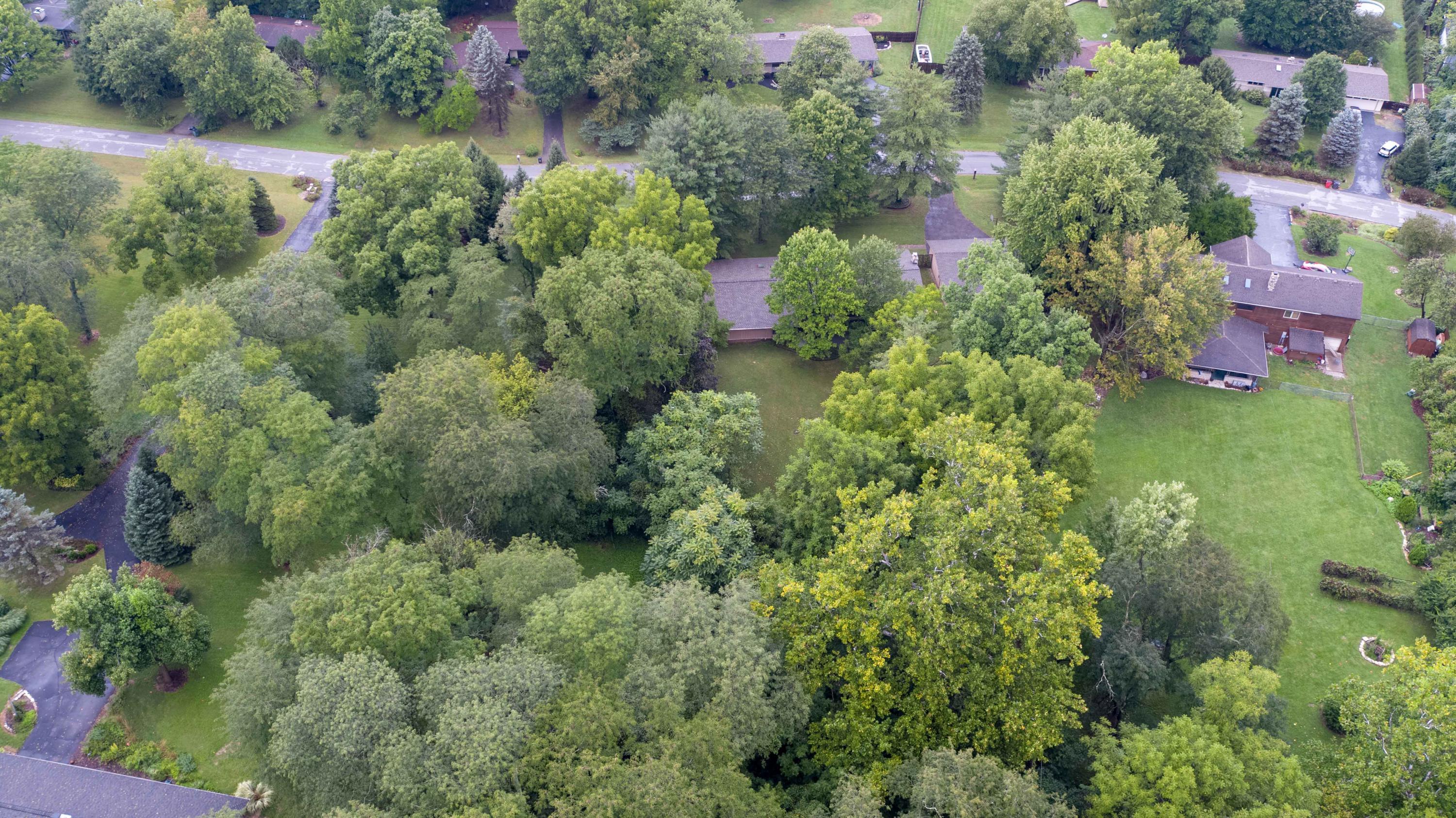 3379 Polley Road Columbus, OH 43221 - Photo 51 of 62 Gallery Image 51