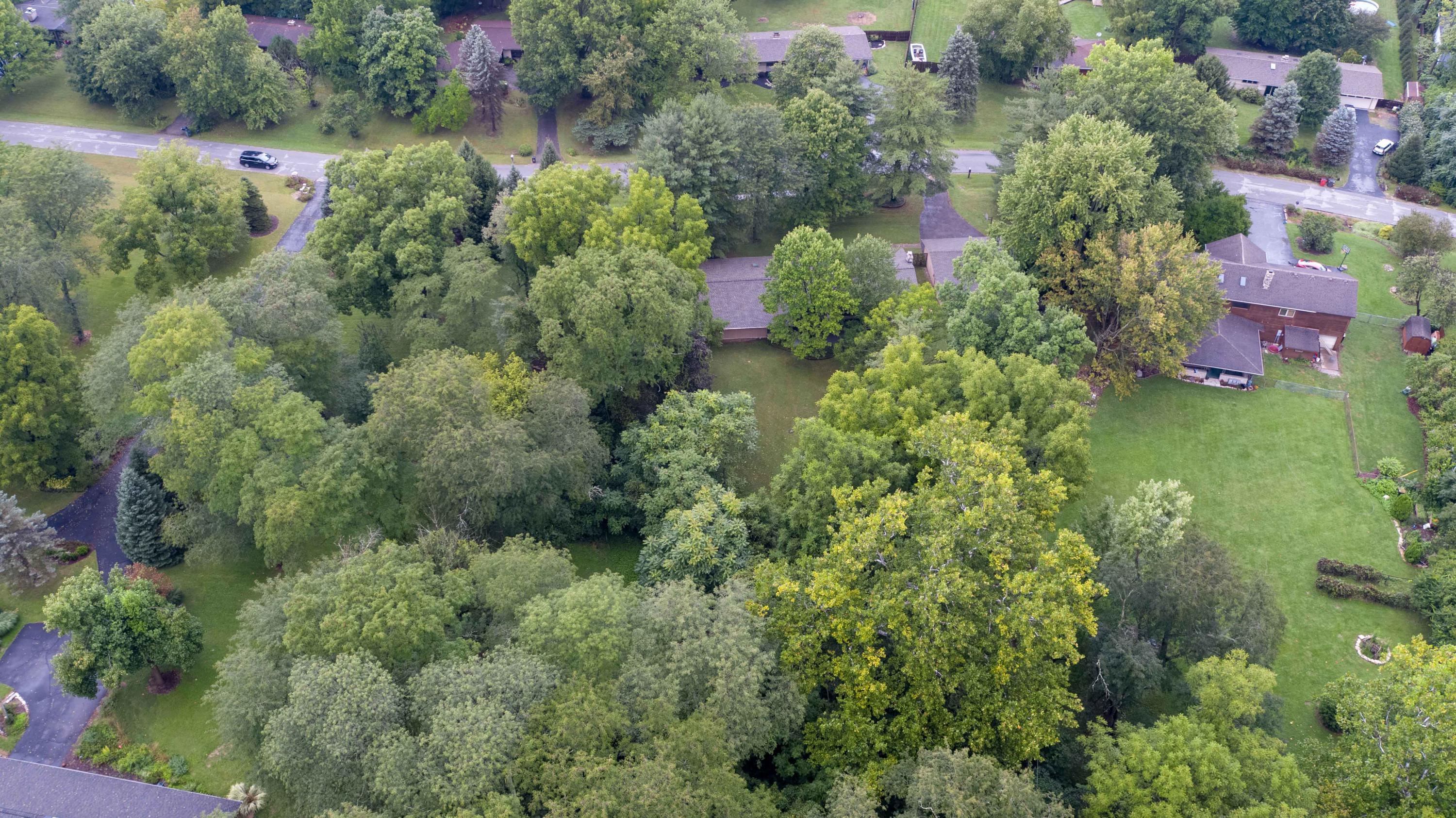3379 Polley Road Columbus, OH 43221 - Photo 52 of 62 Gallery Image 52