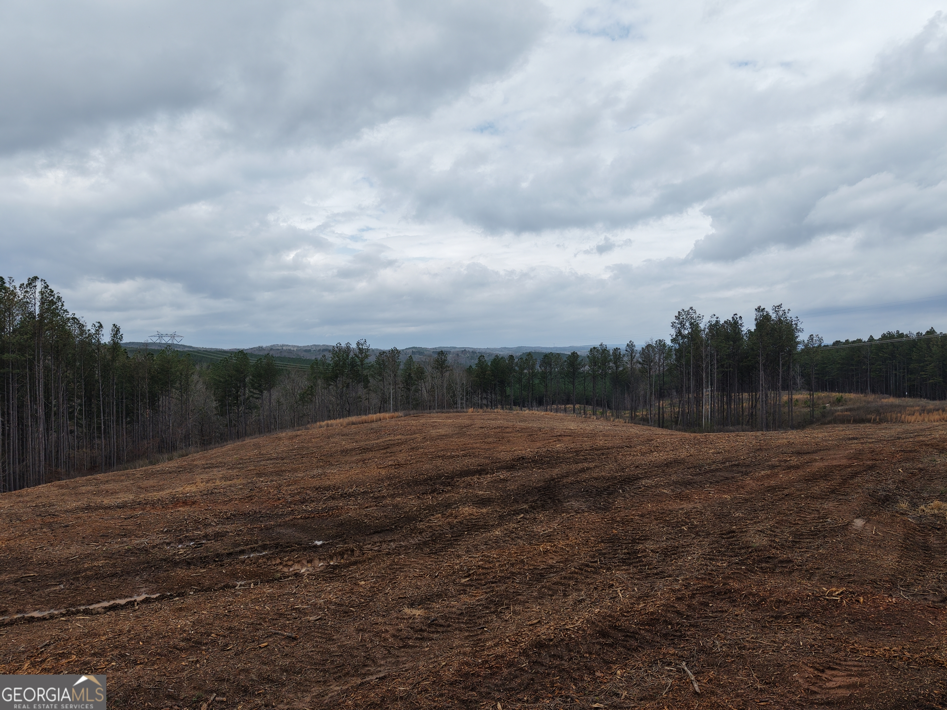 0 Johnson Mountain Road, Unit 7401D Fairmount, GA 30139 - Photo 11 of 53 a view of dirt field with trees