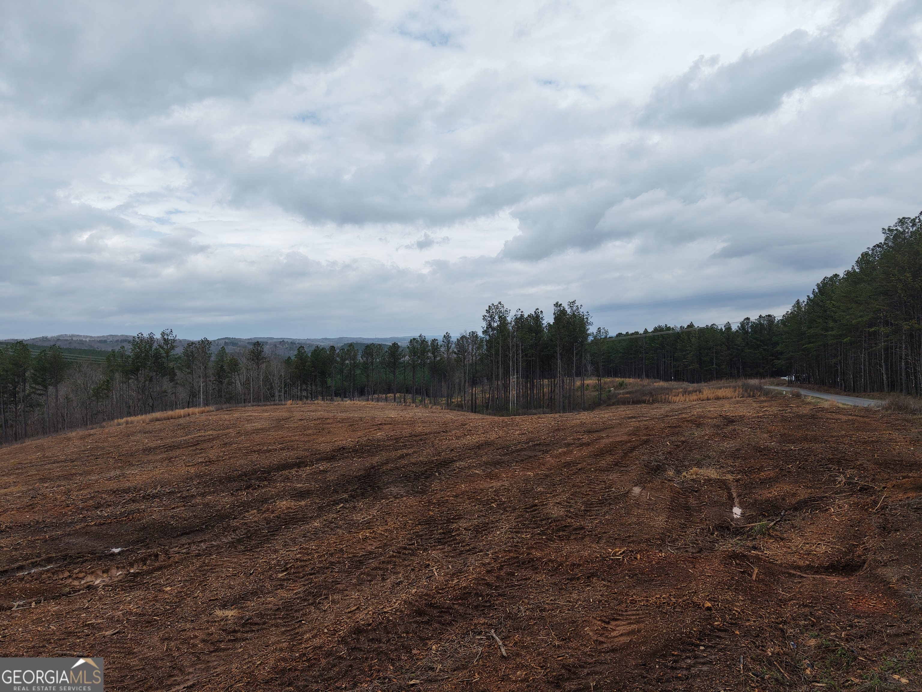 0 Johnson Mountain Road, Unit 7401D Fairmount, GA 30139 - Photo 13 of 53 a view of dirt field with trees