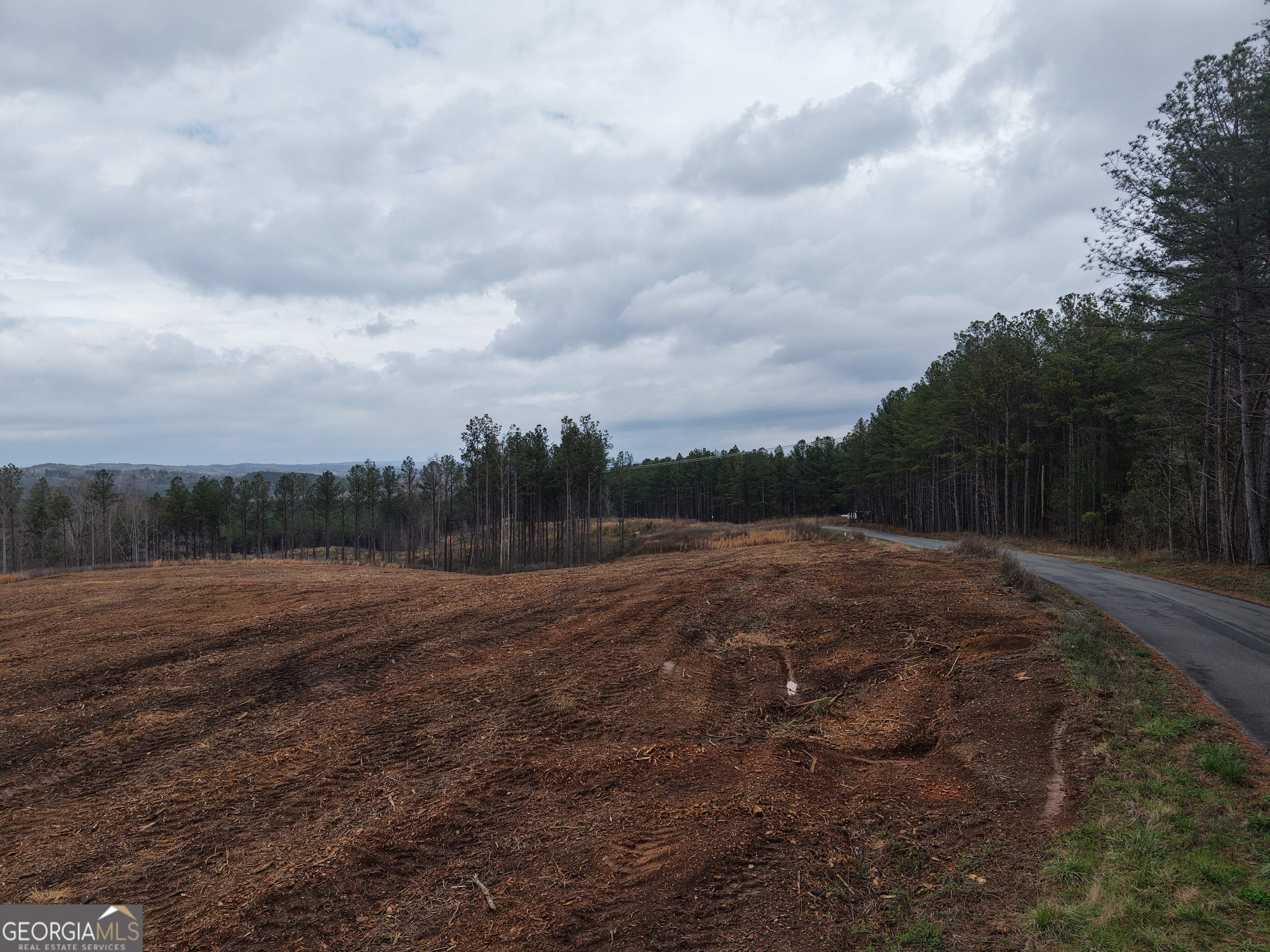 0 Johnson Mountain Road, Unit 7401D Fairmount, GA 30139 - Photo 15 of 53 a view of dirt field with trees
