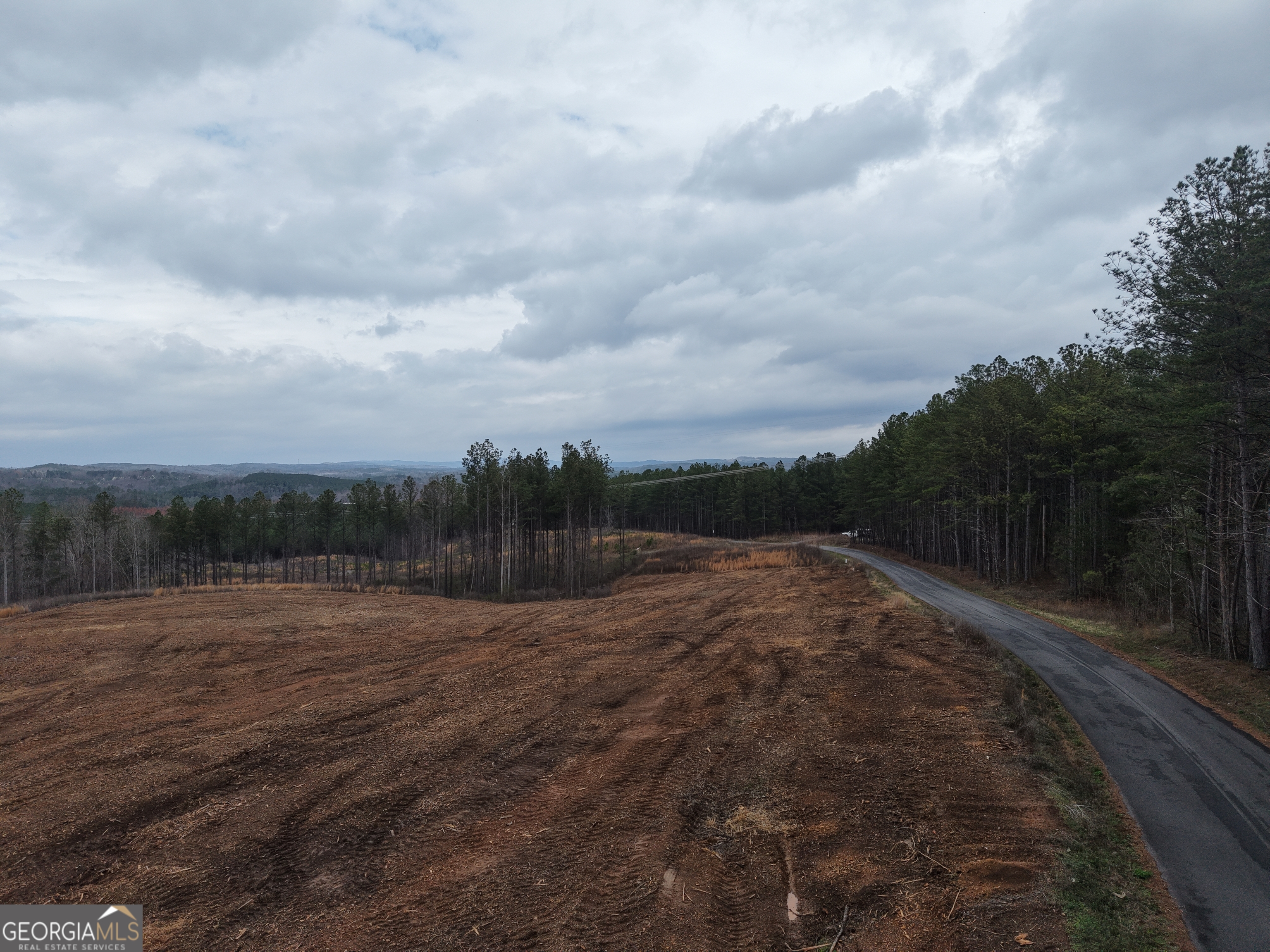 0 Johnson Mountain Road, Unit 7401D Fairmount, GA 30139 - Photo 17 of 53 a backyard of a house with lots of green space