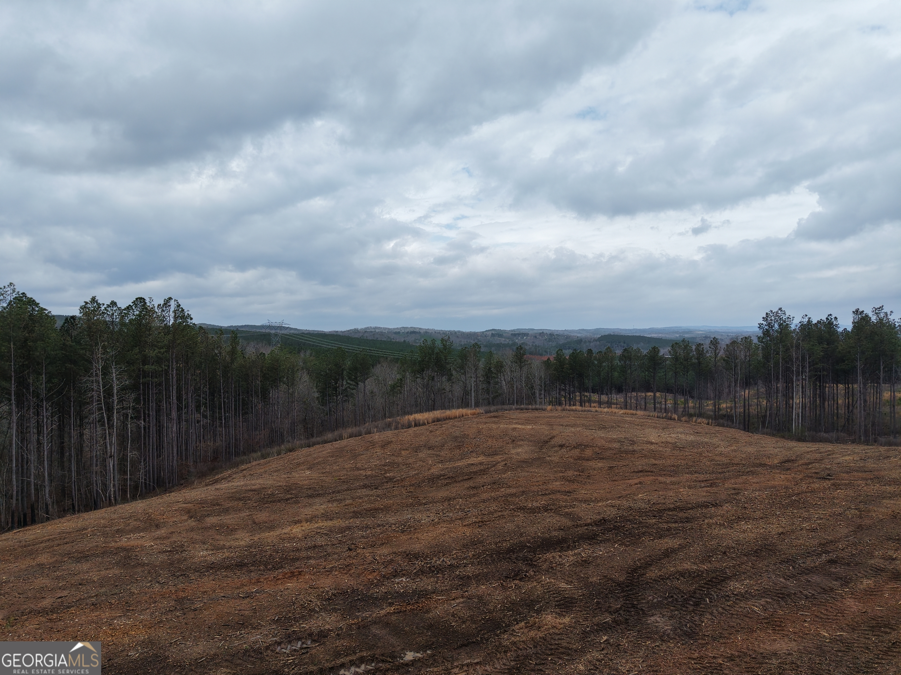 0 Johnson Mountain Road, Unit 7401D Fairmount, GA 30139 - Photo 19 of 53 a backyard of a house with lots of green space