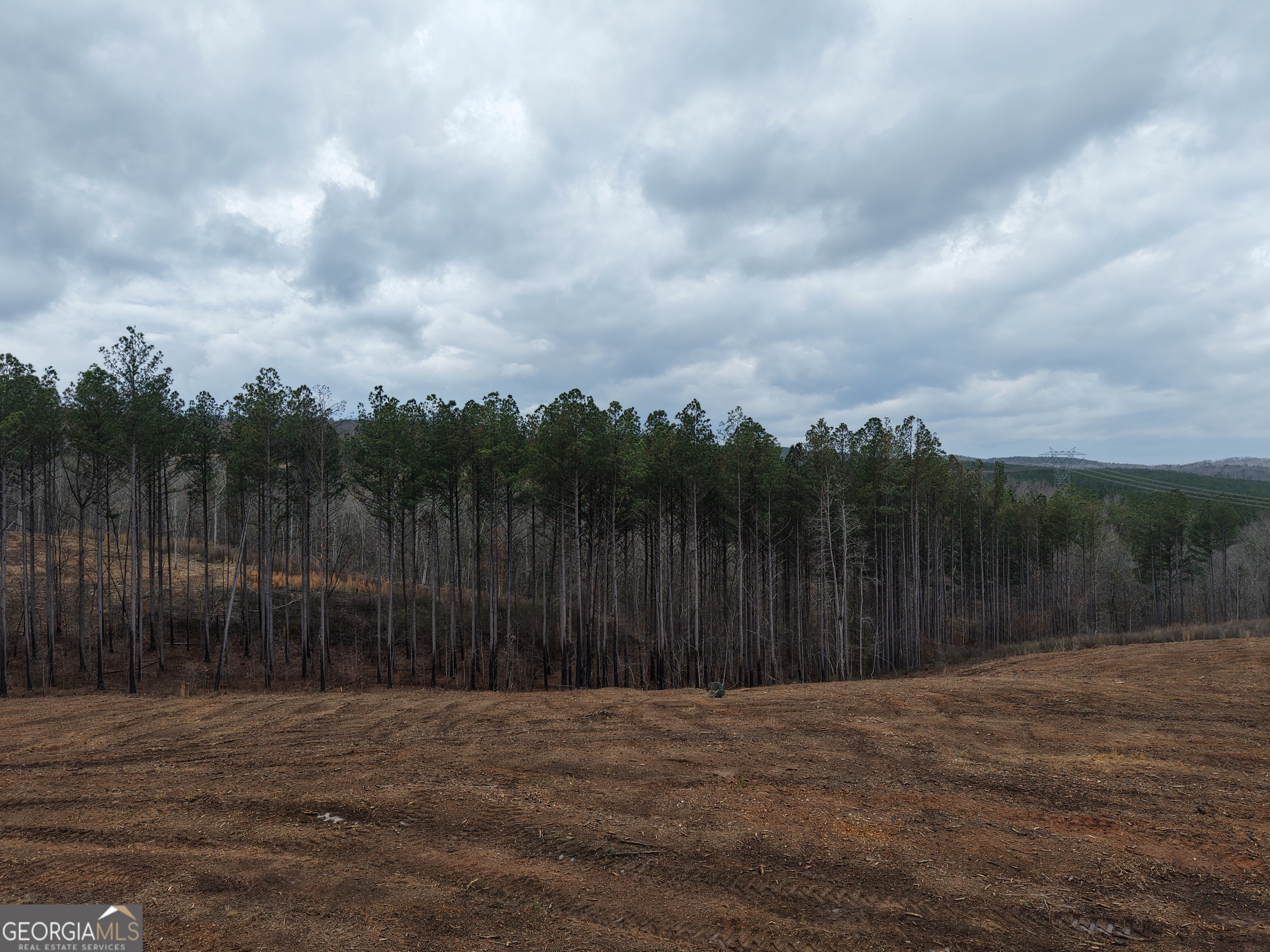 0 Johnson Mountain Road, Unit 7401D Fairmount, GA 30139 - Photo 21 of 53