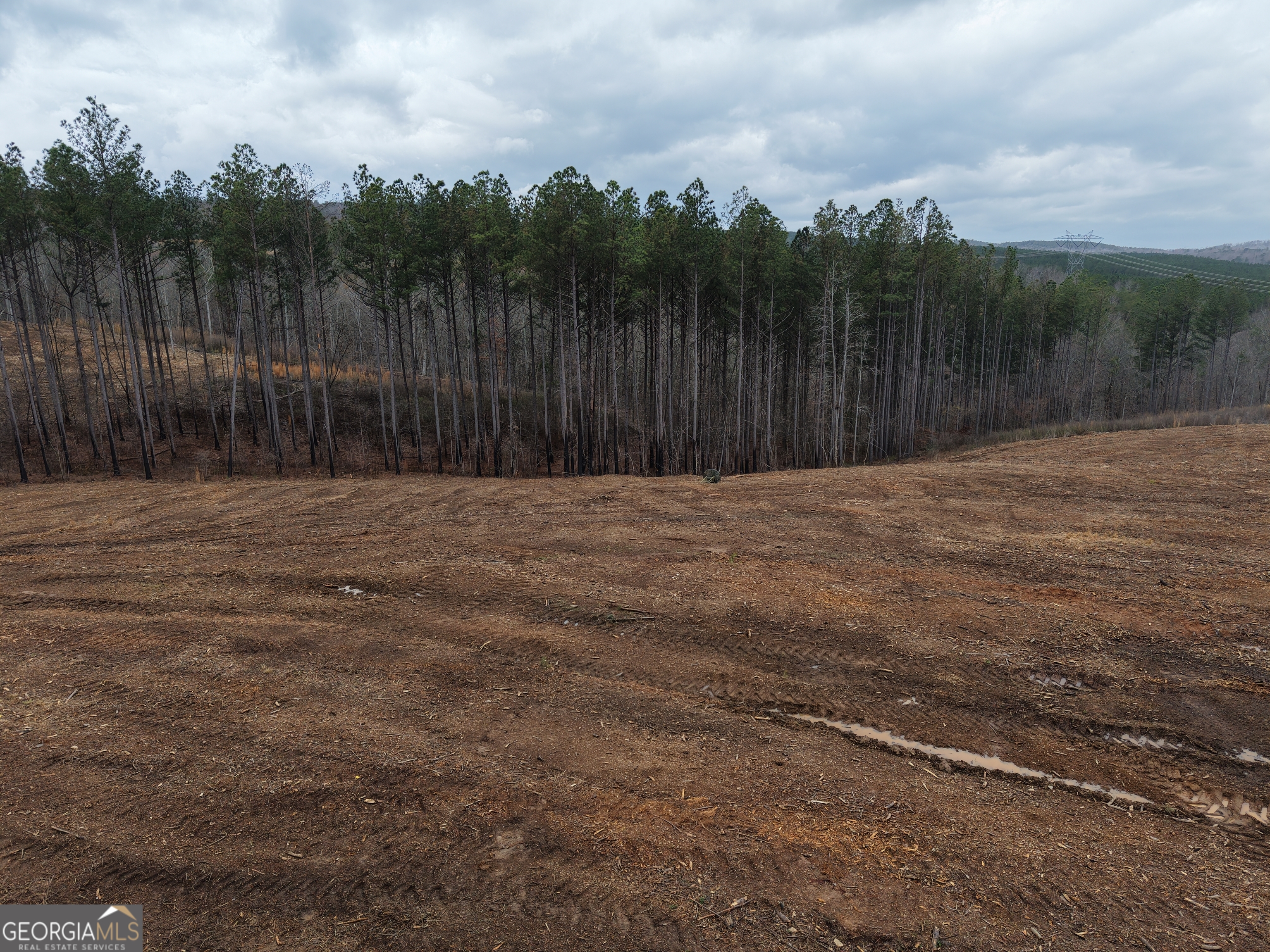 0 Johnson Mountain Road, Unit 7401D Fairmount, GA 30139 - Photo 23 of 53 a backyard of a house with lots of green space
