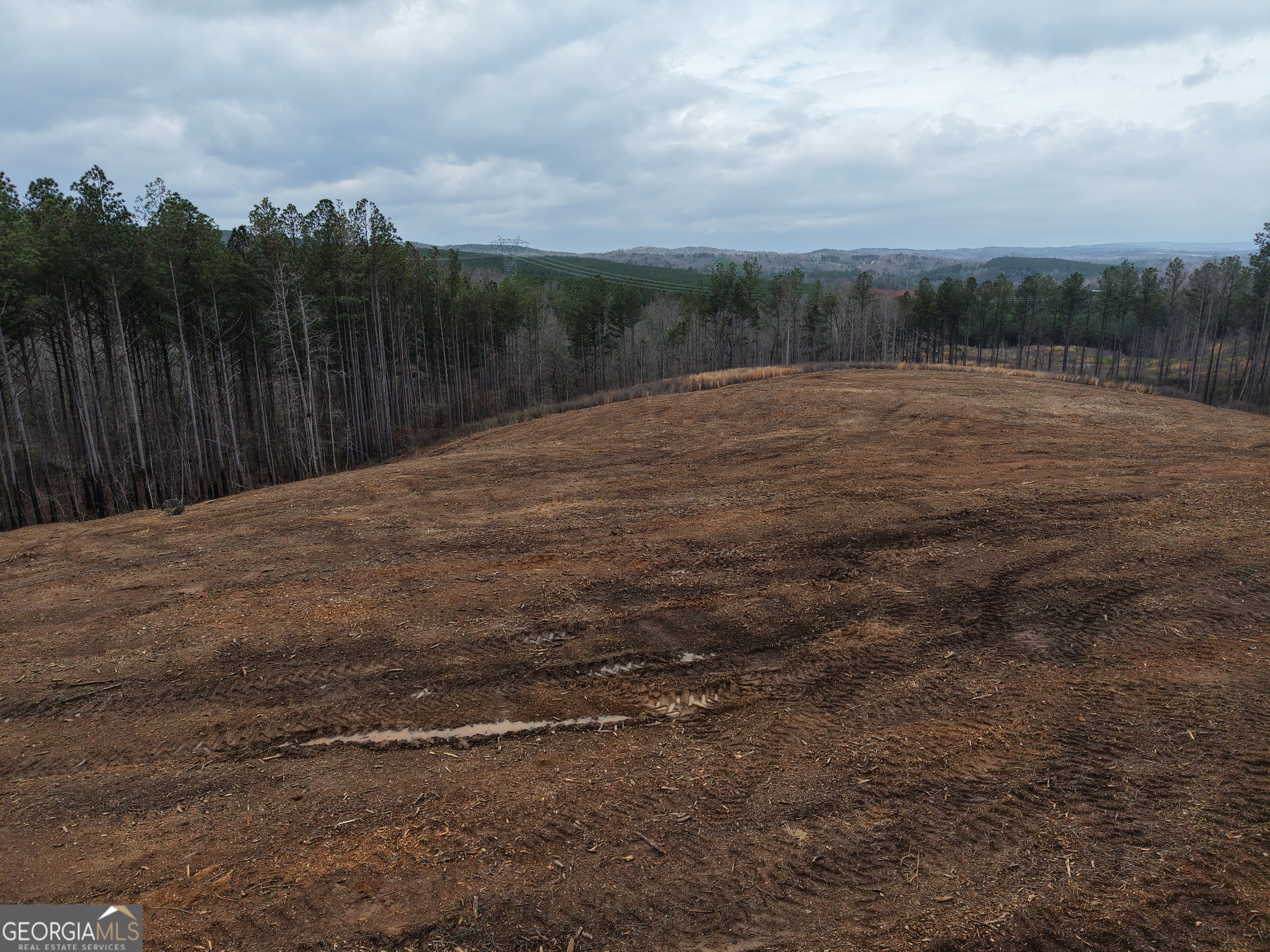 0 Johnson Mountain Road, Unit 7401D Fairmount, GA 30139 - Photo 25 of 53