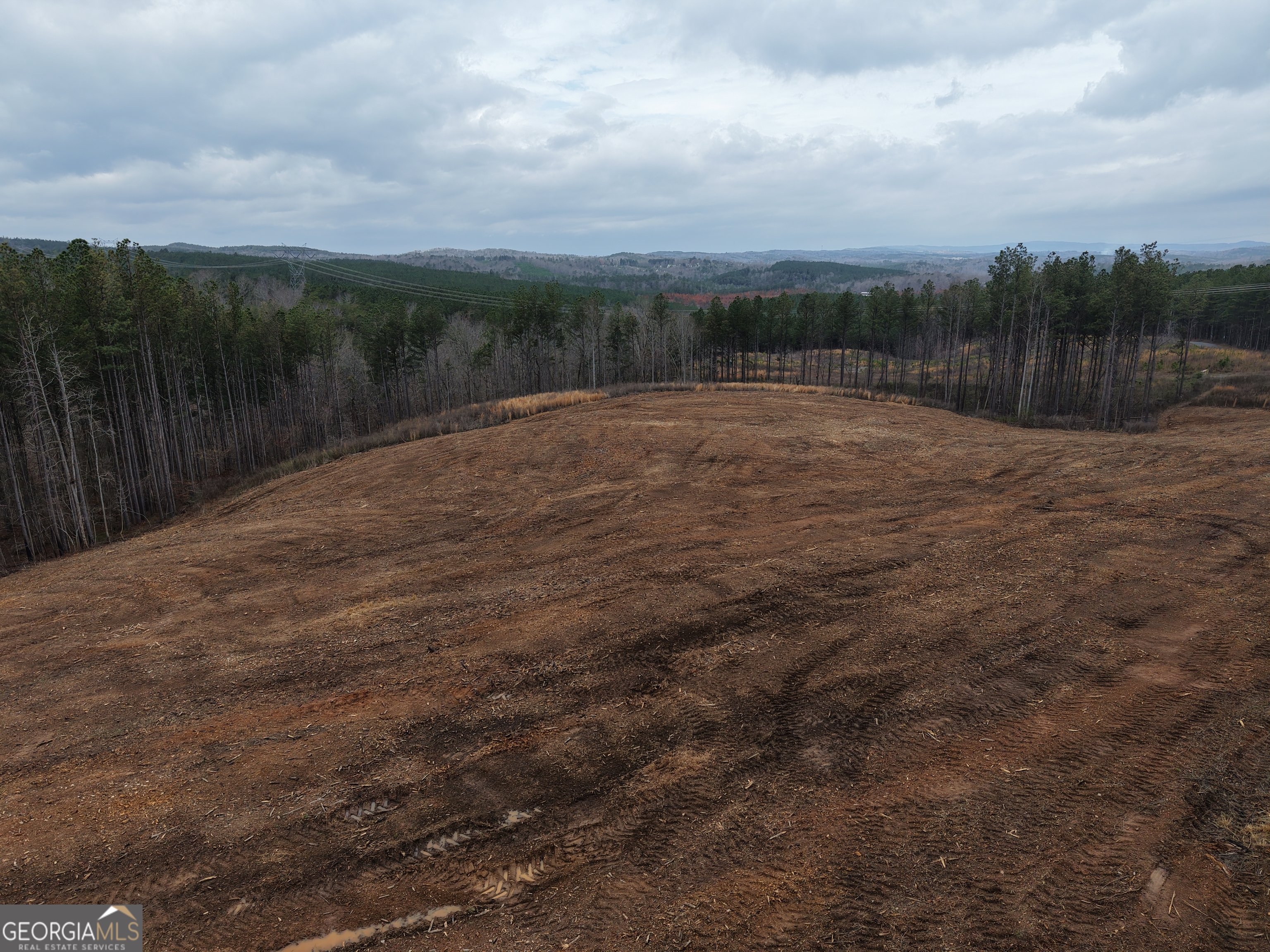 0 Johnson Mountain Road, Unit 7401D Fairmount, GA 30139 - Photo 29 of 53