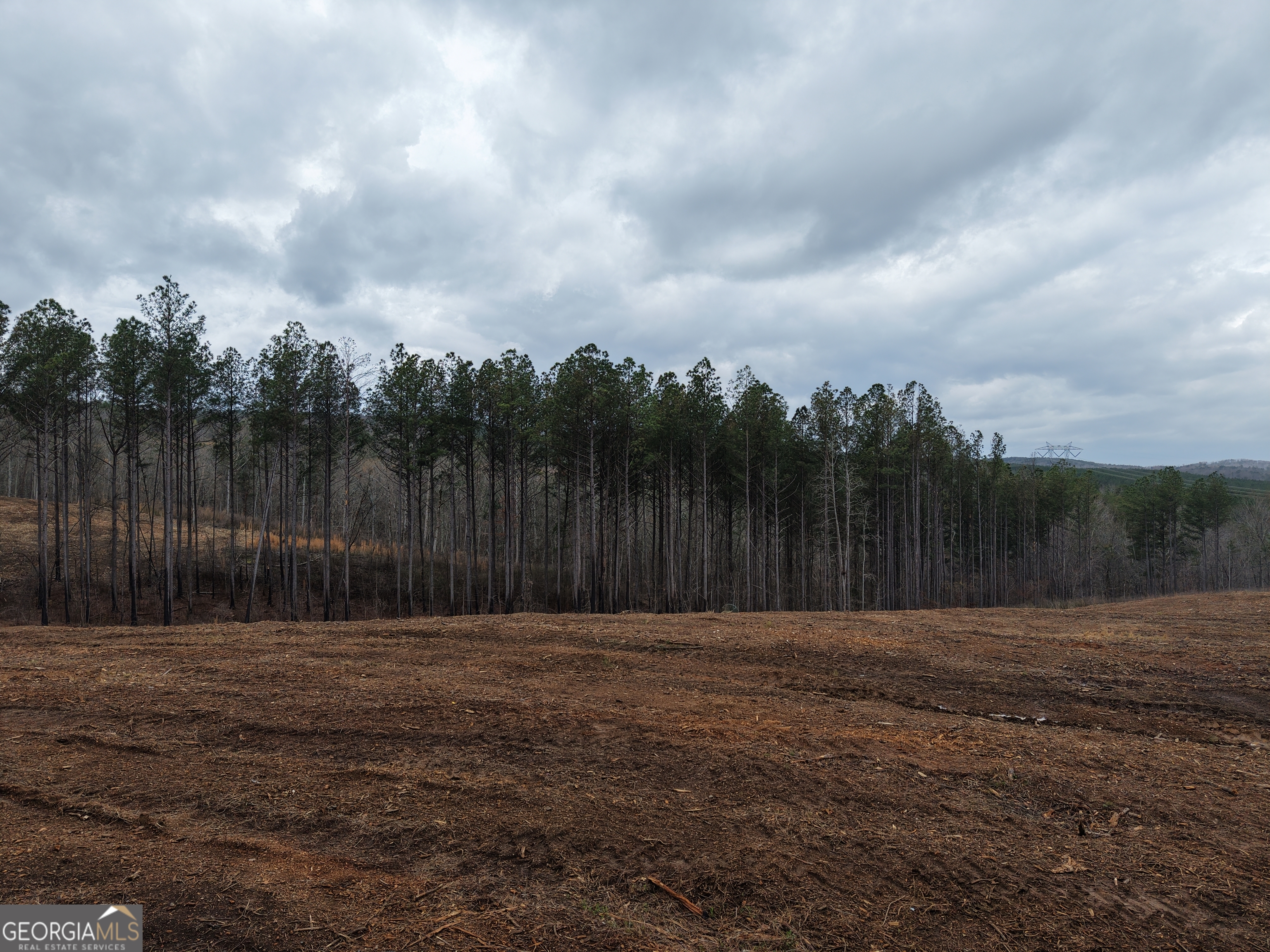 0 Johnson Mountain Road, Unit 7401D Fairmount, GA 30139 - Photo 3 of 53 a backyard of a house