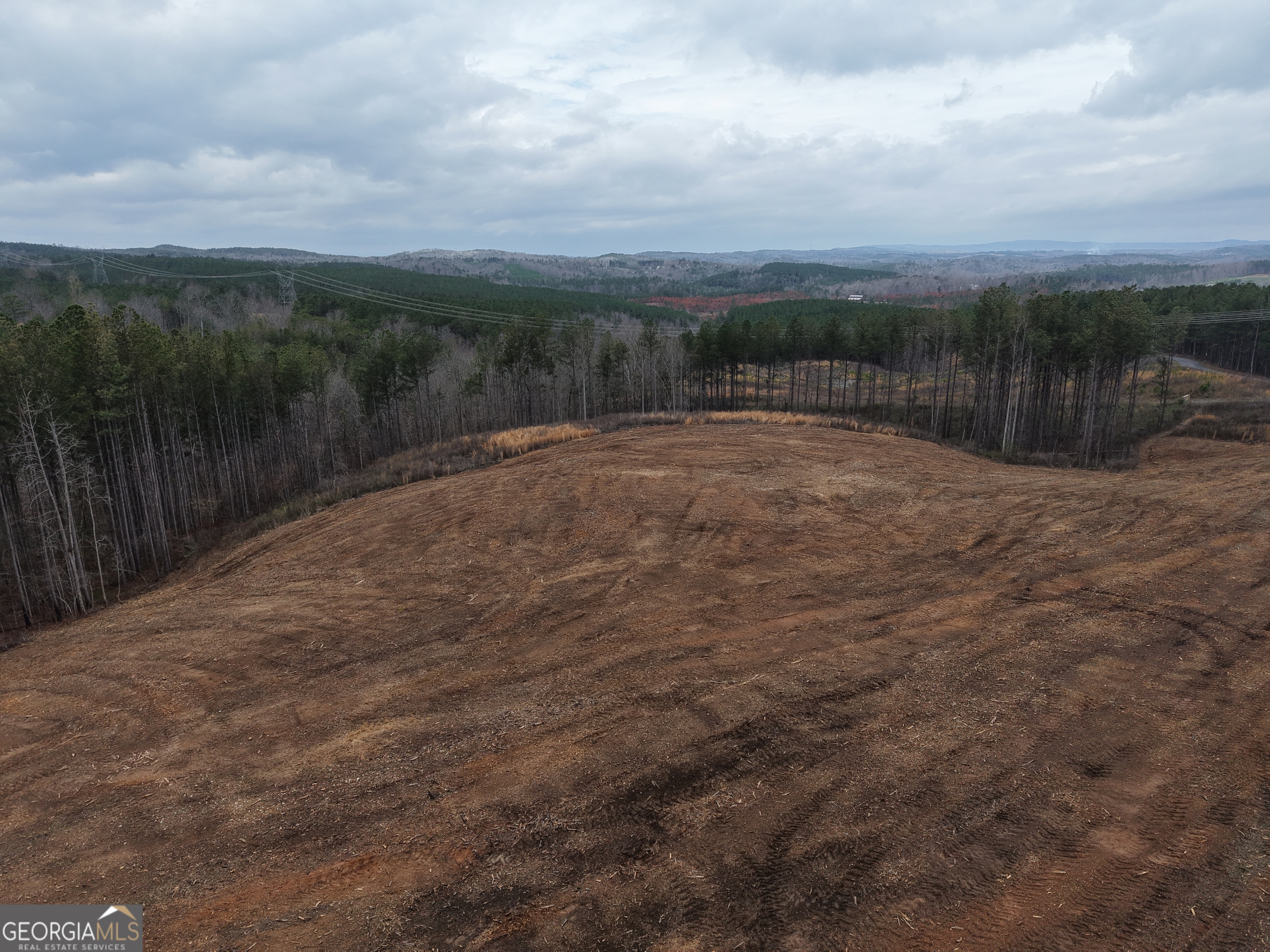 0 Johnson Mountain Road, Unit 7401D Fairmount, GA 30139 - Photo 31 of 53 a view of a backyard
