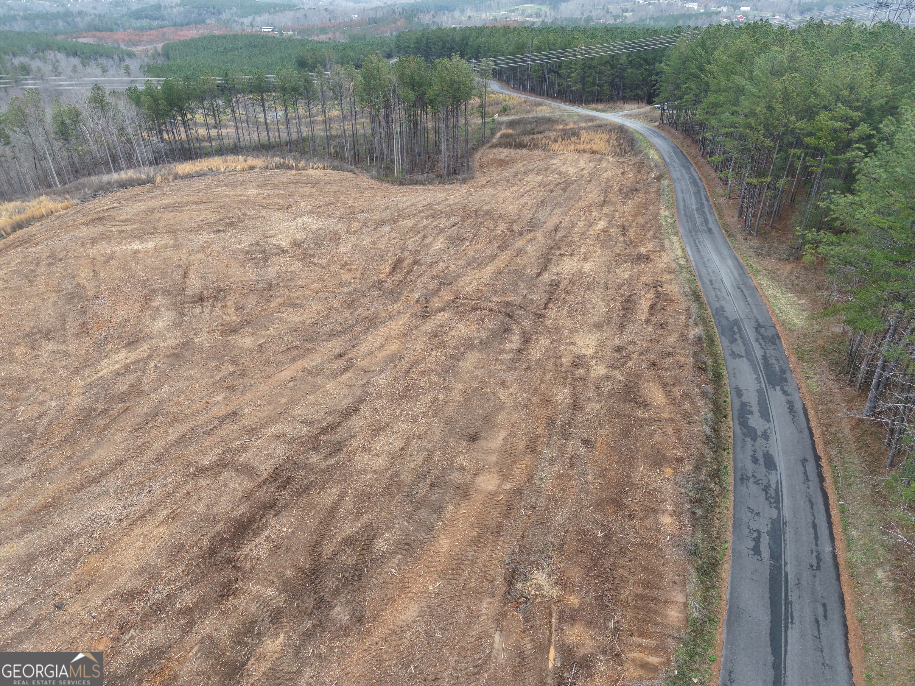 0 Johnson Mountain Road, Unit 7401D Fairmount, GA 30139 - Photo 33 of 53 a view of swimming pool with a yard
