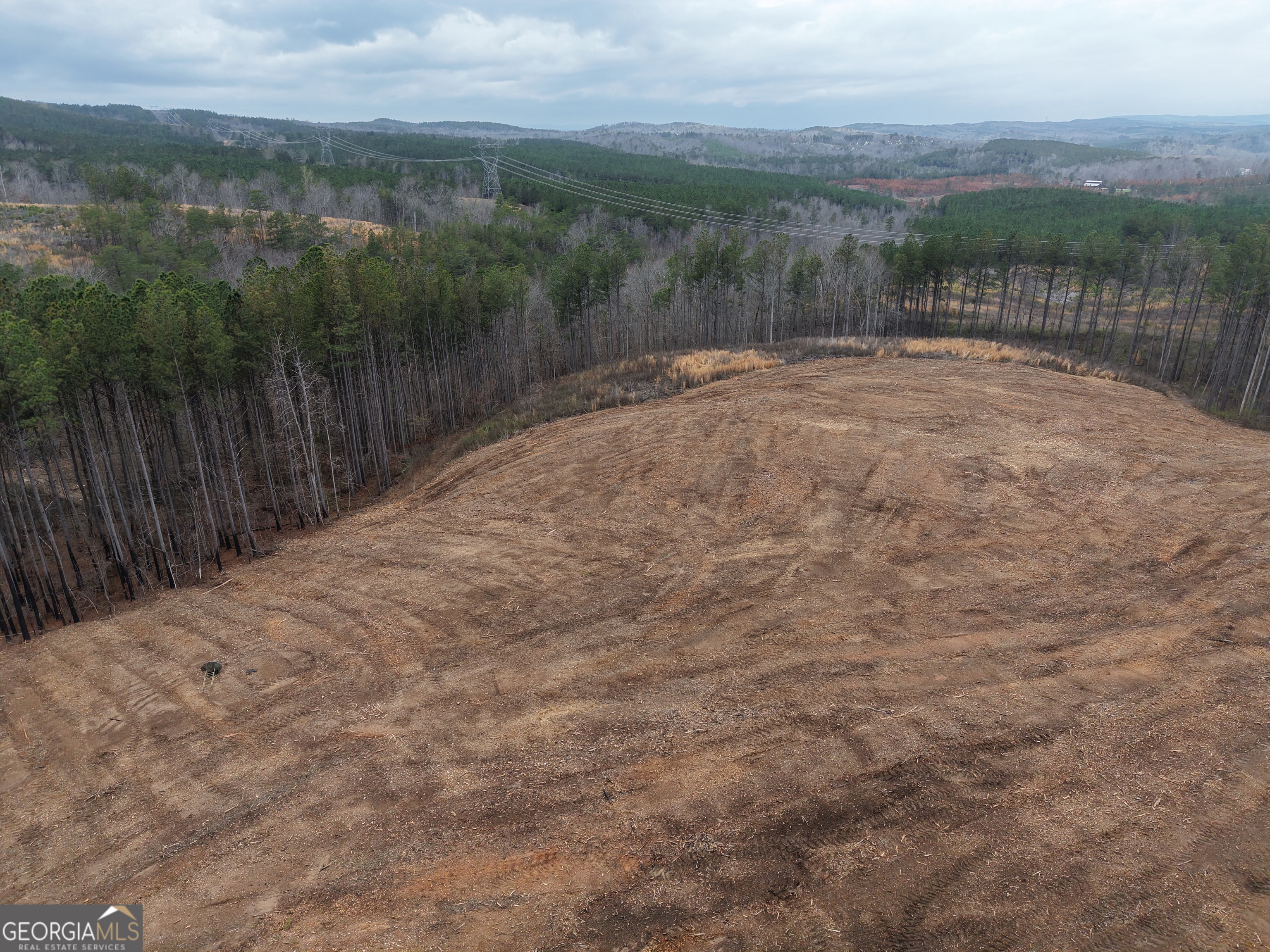 0 Johnson Mountain Road, Unit 7401D Fairmount, GA 30139 - Photo 37 of 53 a view of outdoor space and mountain view