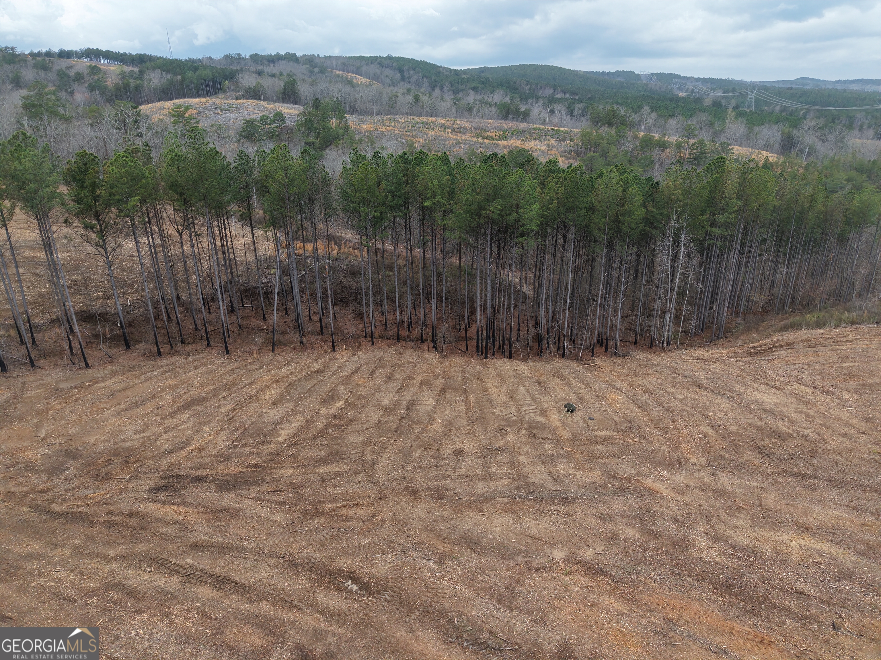 0 Johnson Mountain Road, Unit 7401D Fairmount, GA 30139 - Photo 41 of 53 a view of outdoor space and city view