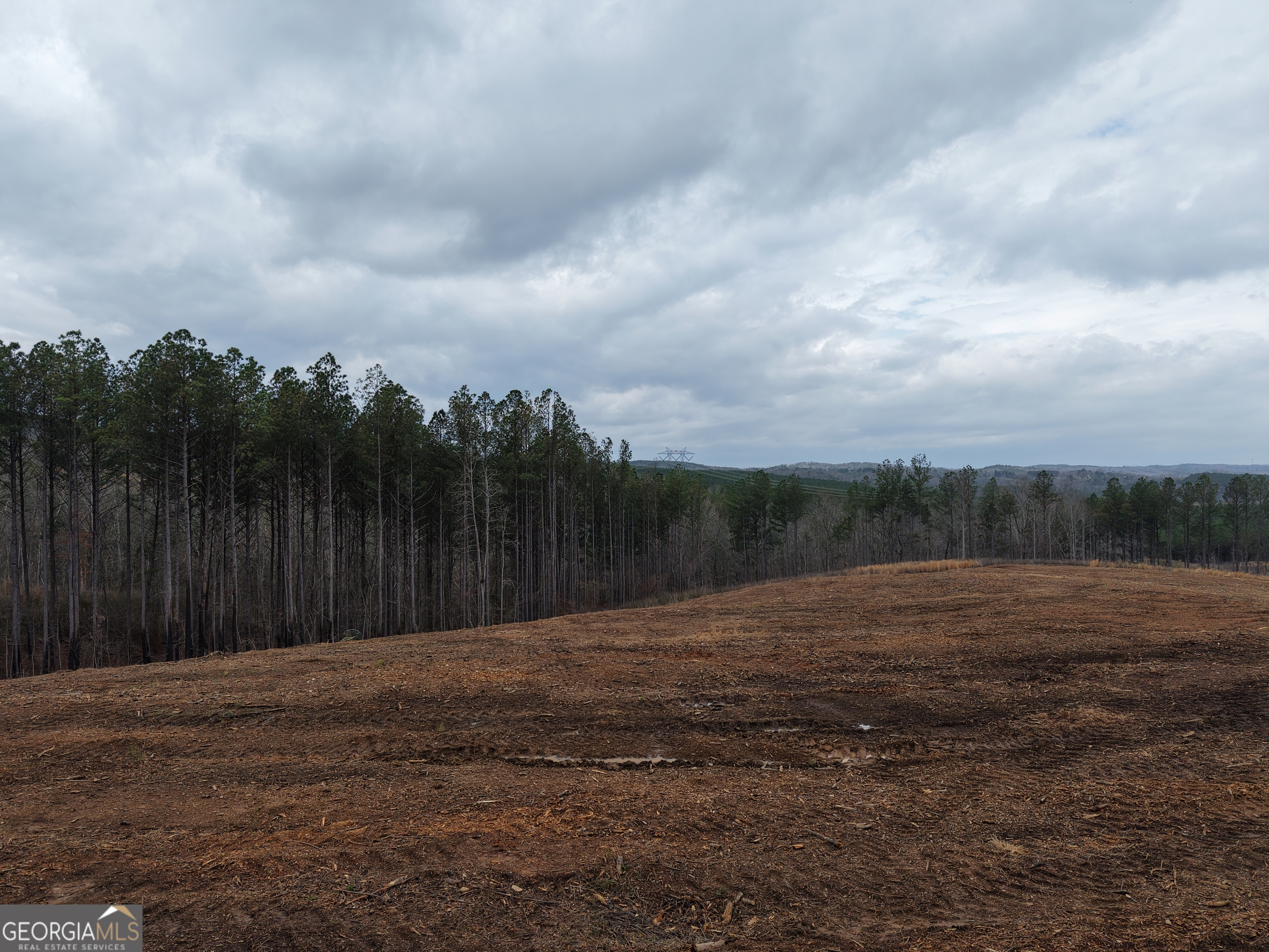0 Johnson Mountain Road, Unit 7401D Fairmount, GA 30139 - Photo 7 of 53 a backyard of a house