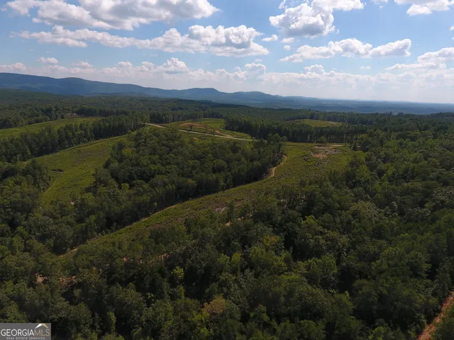 $292,500 | 0 Johnson Mountain Road, Unit 7401D, Fairmount, GA 30139