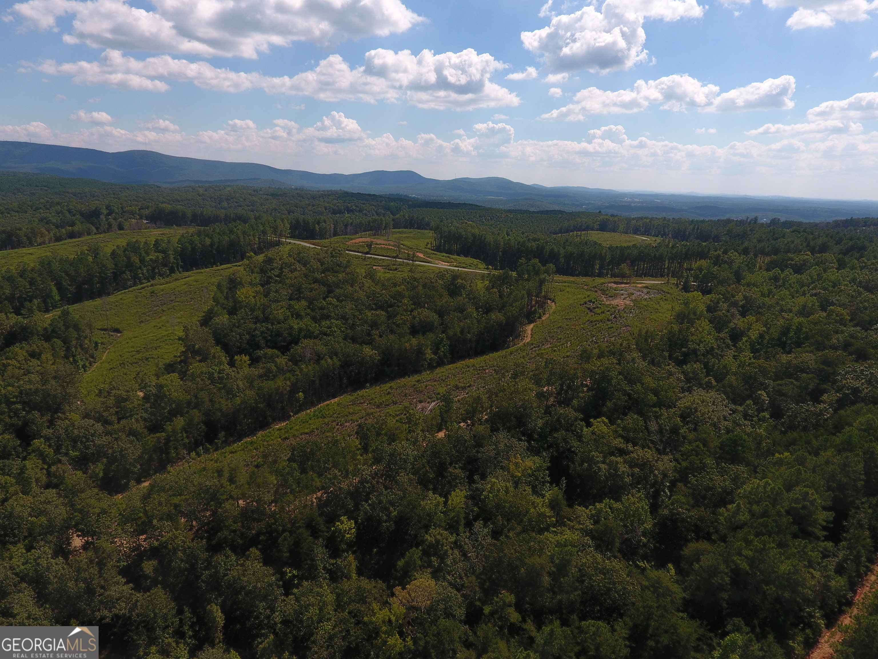 0 Johnson Mountain Road, Unit 7401D Fairmount, GA 30139 - Photo 8 of 33