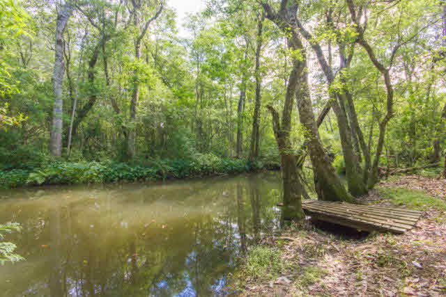 11218 County Road 99 Lillian, AL 36549 - Photo 39 of 41 Bayou