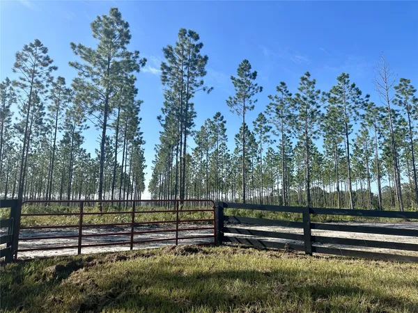 a view of a yard with wooden fence