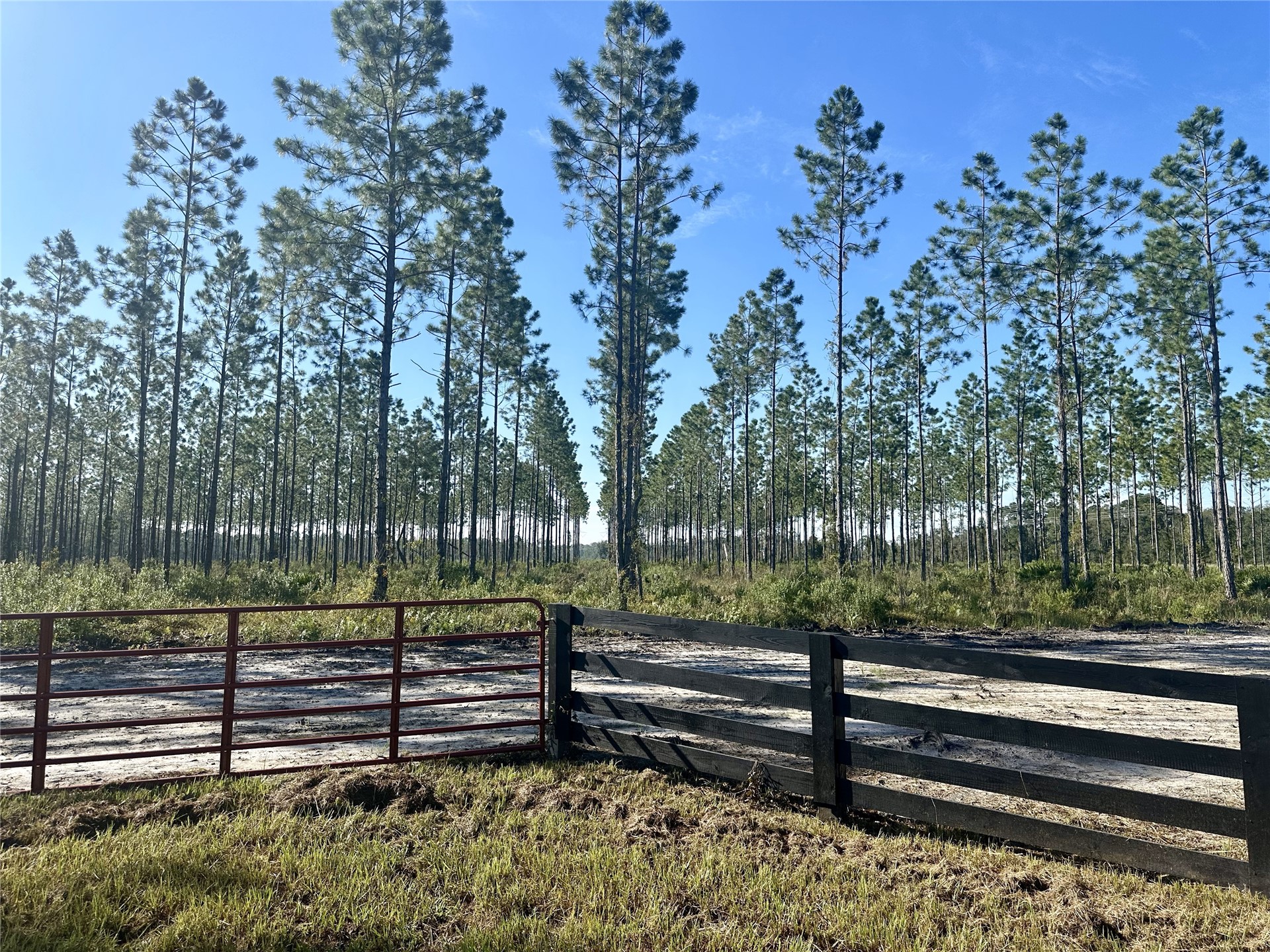 Lot 15 Andrews Road Hilliard, FL 32046 - Photo 13 of 24 a view of a yard with wooden fence