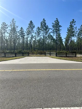 a view of a backyard with trees
