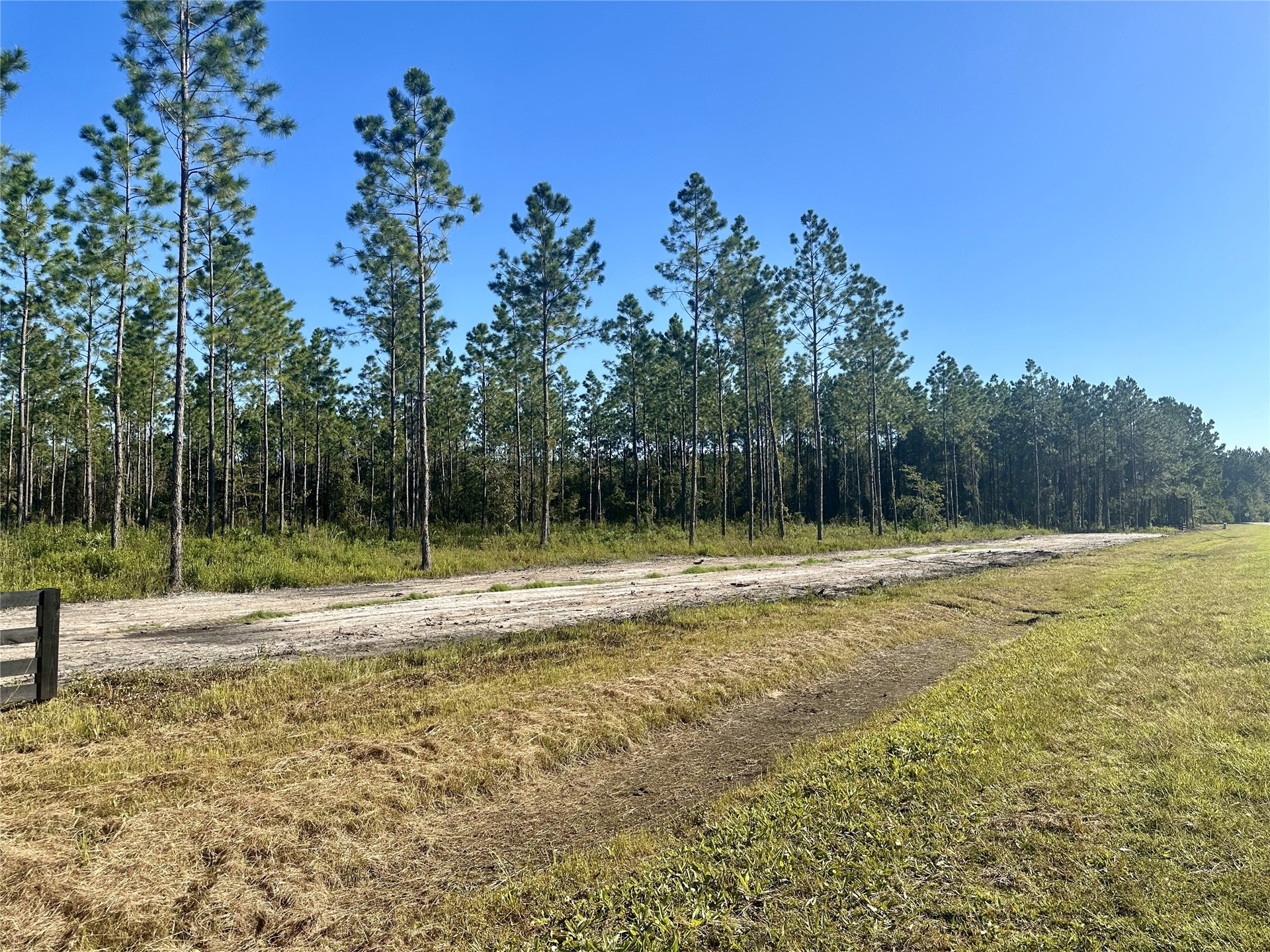Lot 15 Andrews Road Hilliard, FL 32046 - Photo 20 of 24 a view of a backyard with trees