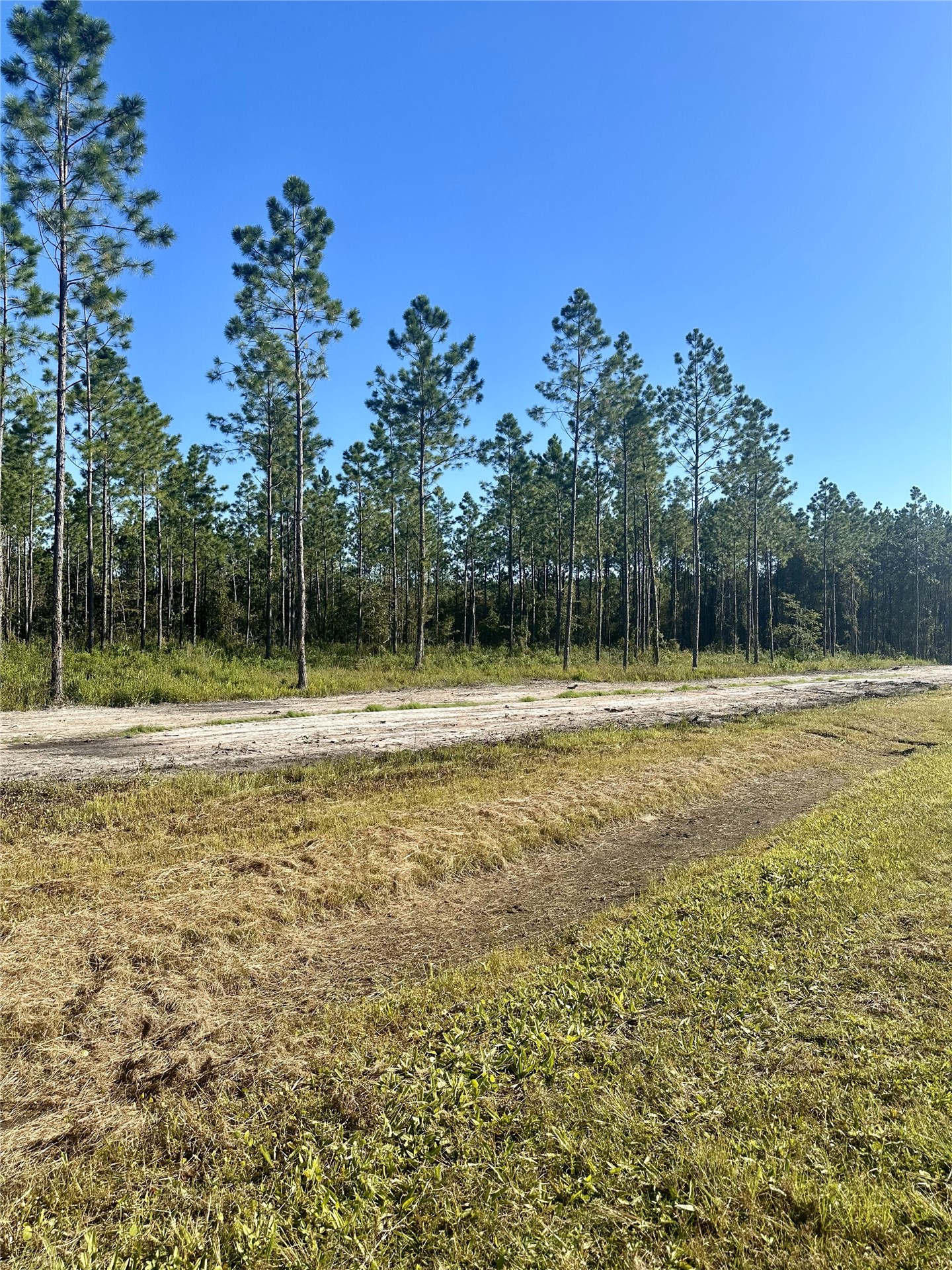 Lot 15 Andrews Road Hilliard, FL 32046 - Photo 21 of 24 a view of outdoor space with swimming pool and trees in the background