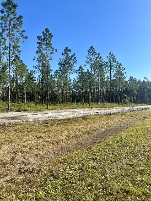 Lot 15 Andrews Road Hilliard, FL 32046 - Photo 21 of 24