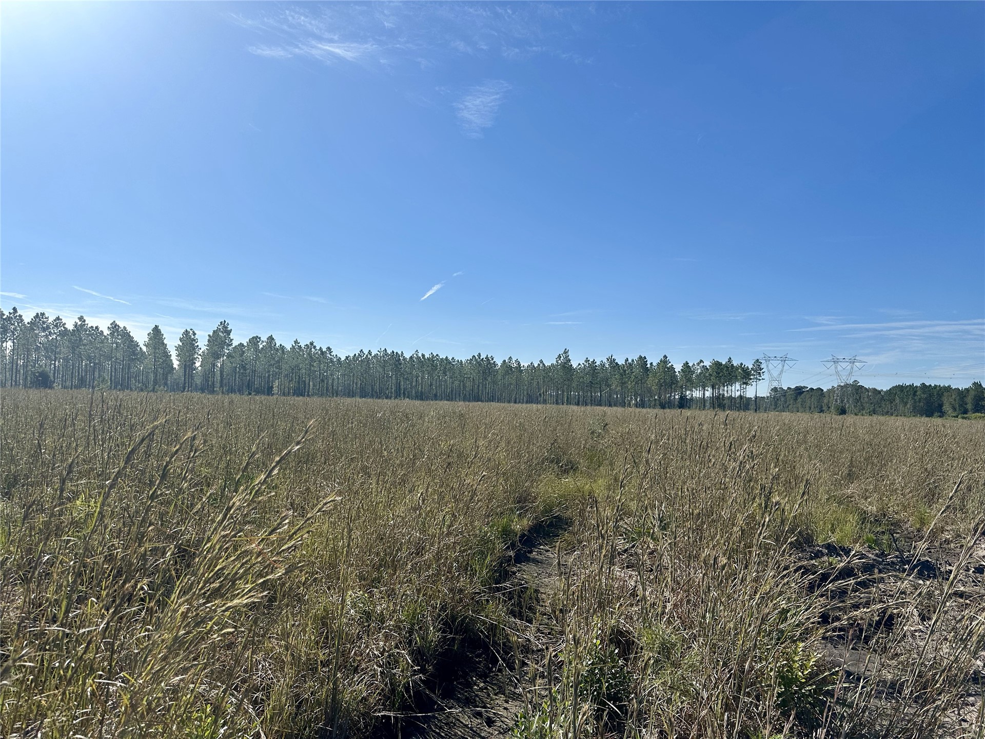 Lot 15 Andrews Road Hilliard, FL 32046 - Photo 4 of 24 a view of a lake from a yard