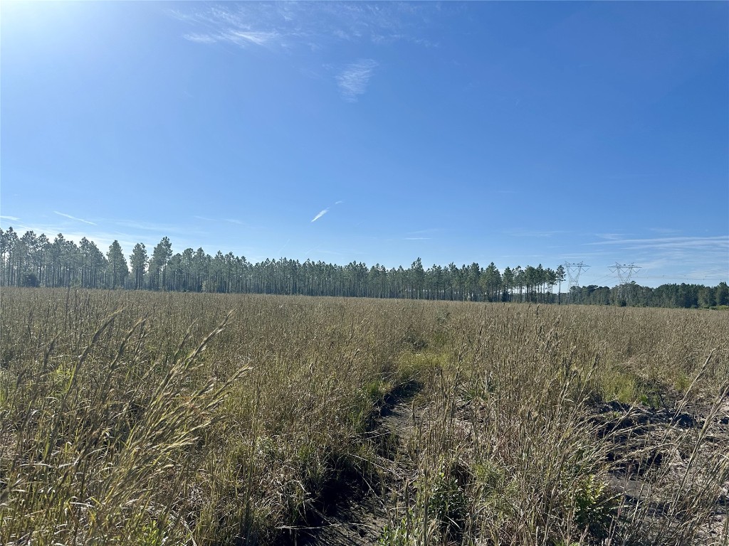 Lot 15 Andrews Road Hilliard, FL 32046 - Photo 4 of 24