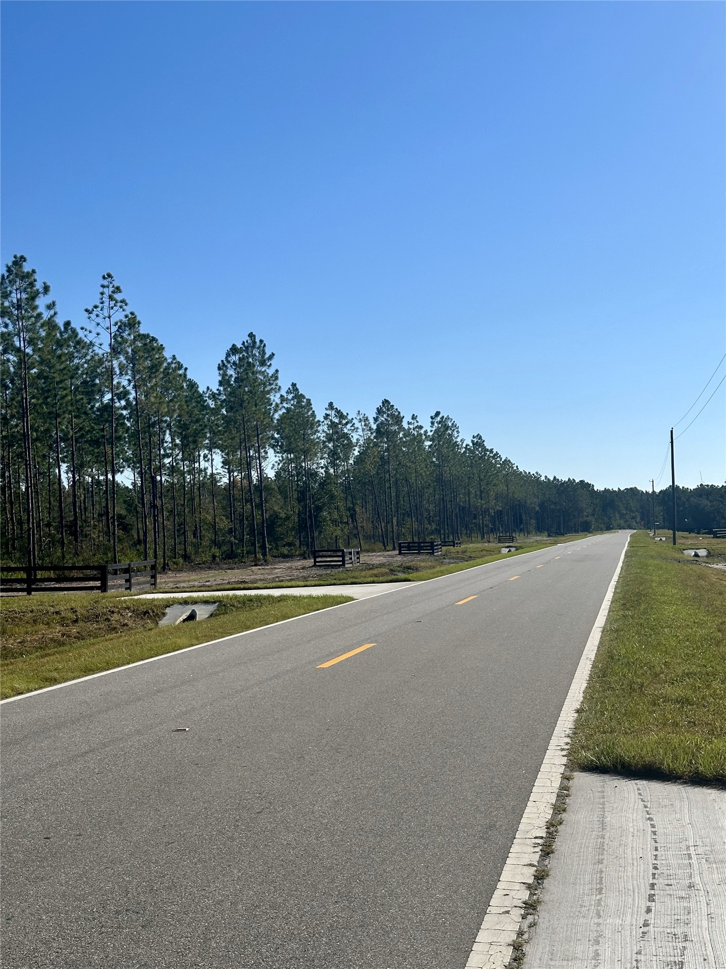 Lot 15 Andrews Road Hilliard, FL 32046 - Photo 8 of 24 a view of a lake with a large trees