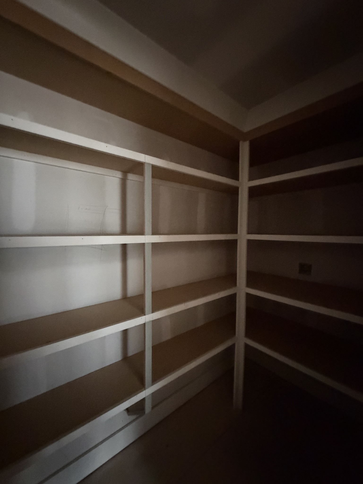 309 Setters Lane Tullahoma, TN 37388 - Photo 9 of 20 a view of walk in closet with empty racks