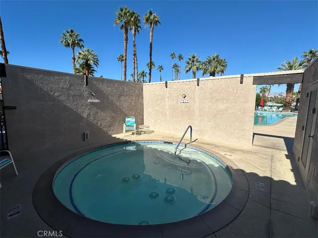 a view of a swimming pool with a potted plants