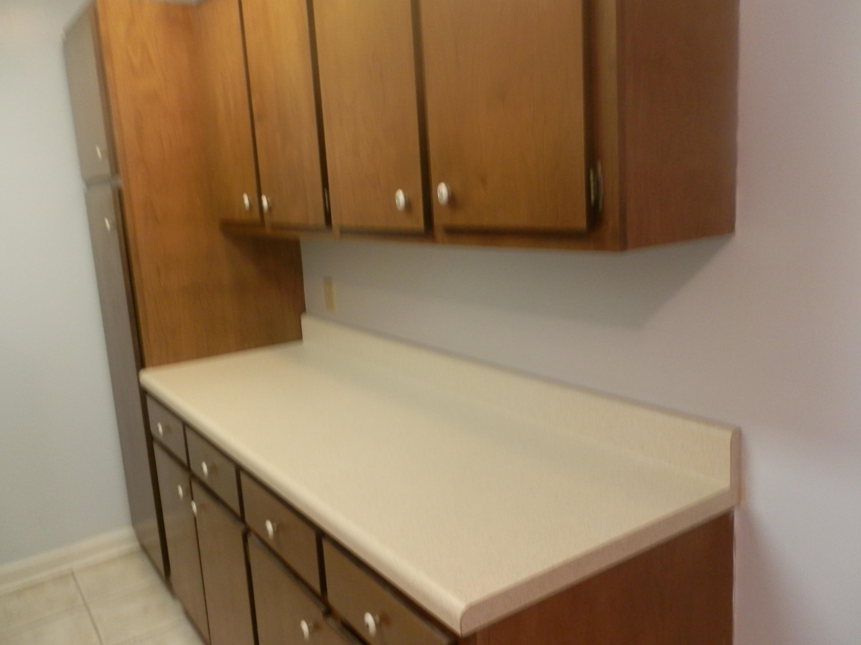 224 Connors Circle Oak Ridge, TN 37830 - Photo 32 of 36 Cabinets and folding counter in laundry