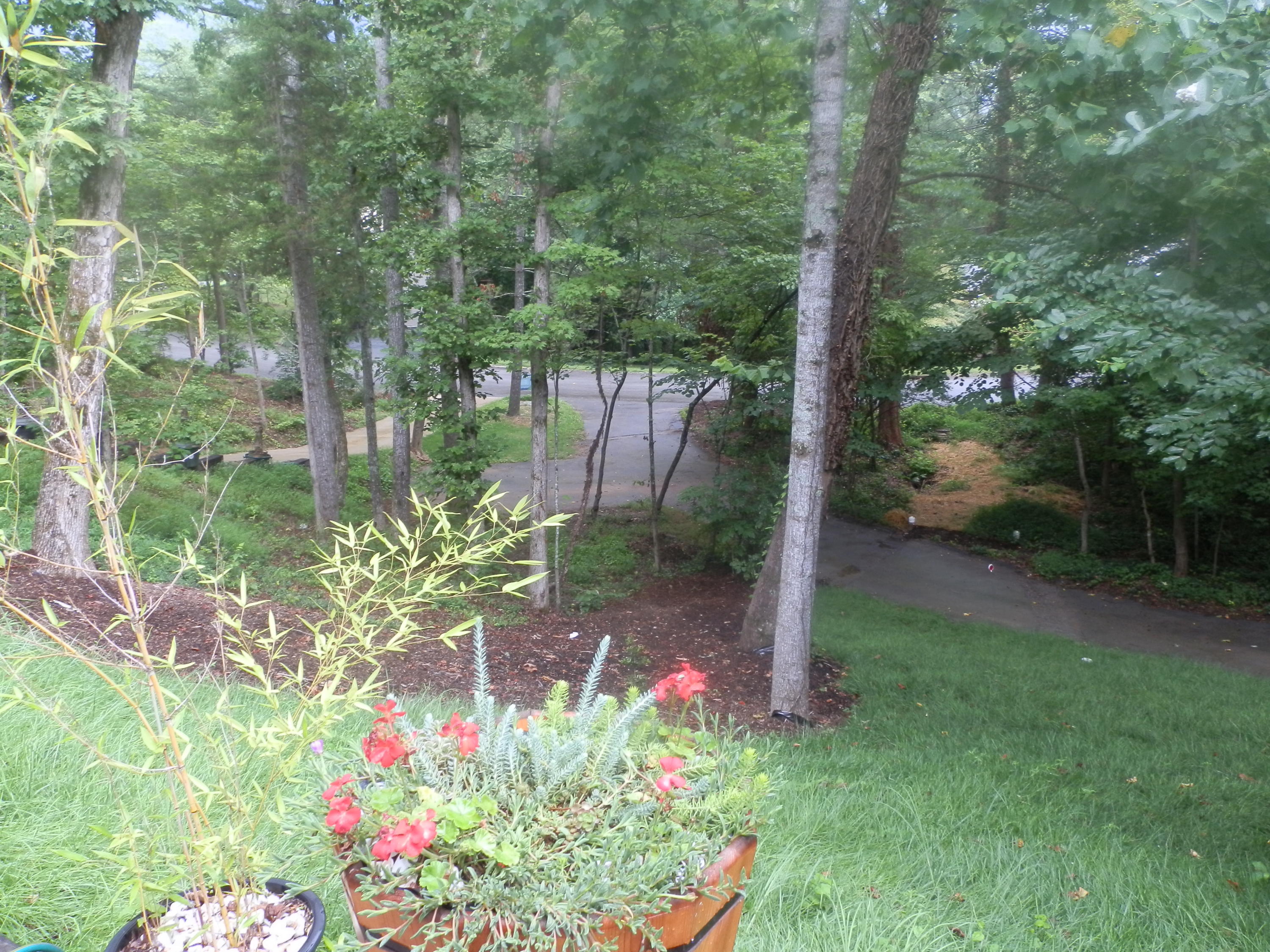 224 Connors Circle Oak Ridge, TN 37830 - Photo 36 of 36 View from the front porch