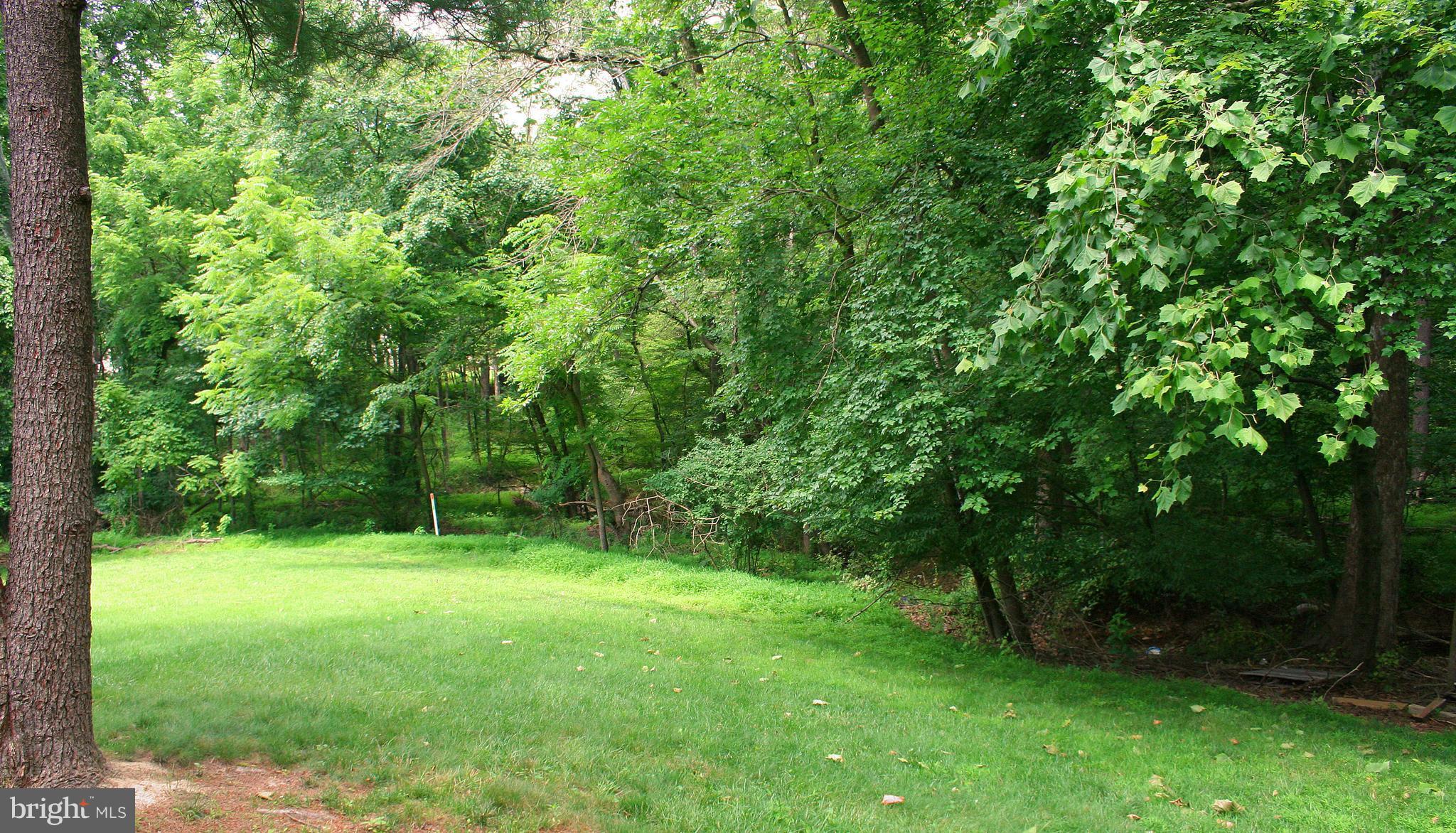 8947 Centerway Road Gaithersburg, MD 20879 - Photo 22 of 25 Beautiful Nature Views